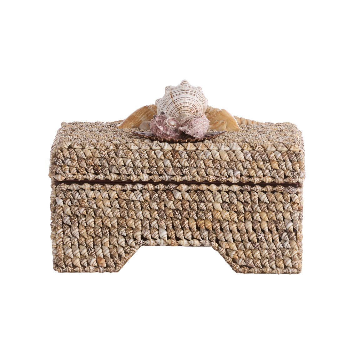 Island Shell Box