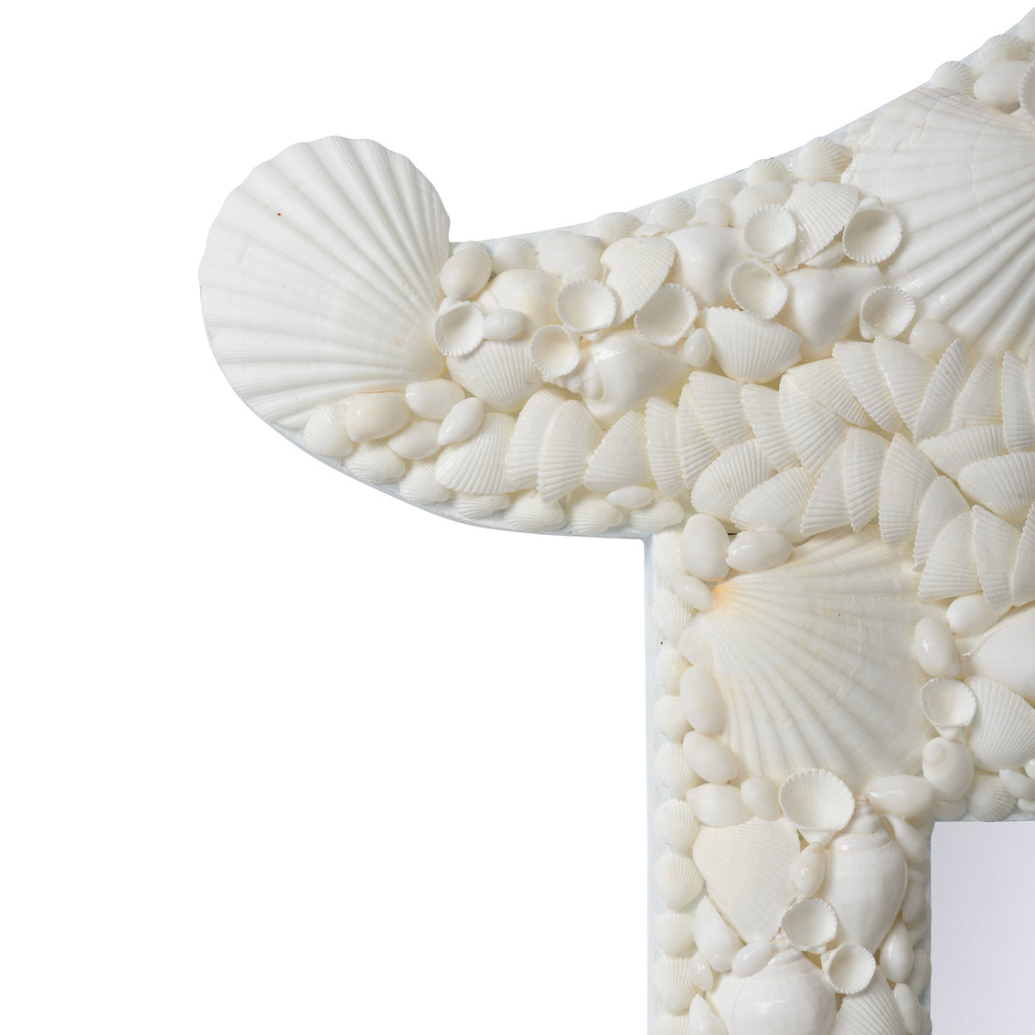 Shell Mirror