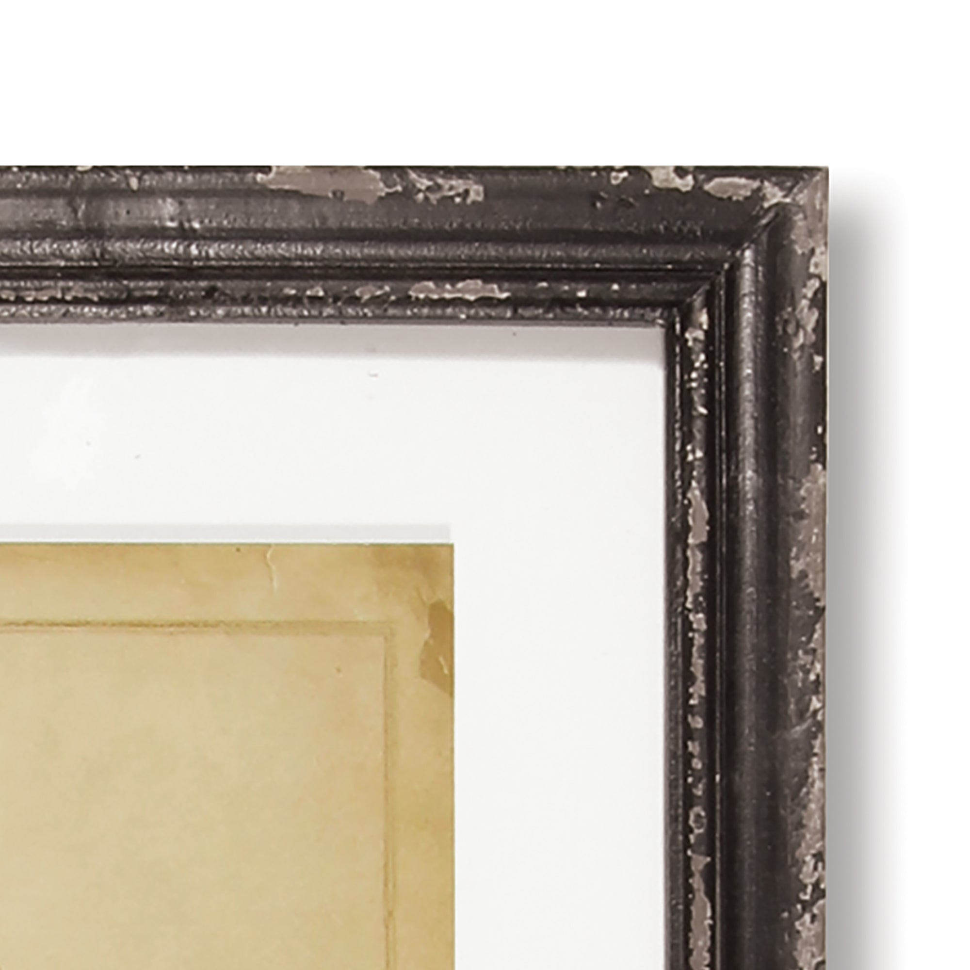 Framed Antique Fern, Set of 8