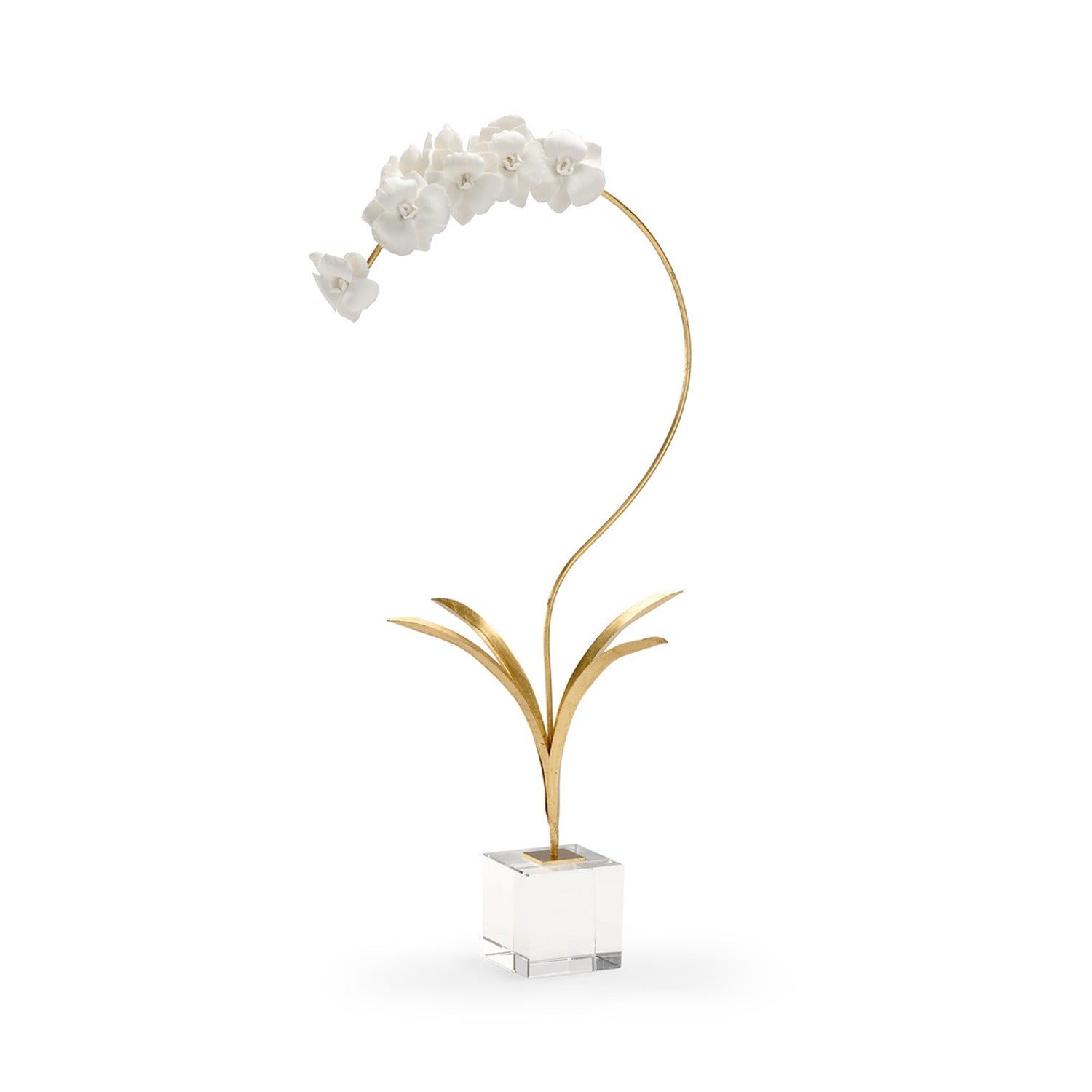 Orchid On Stand