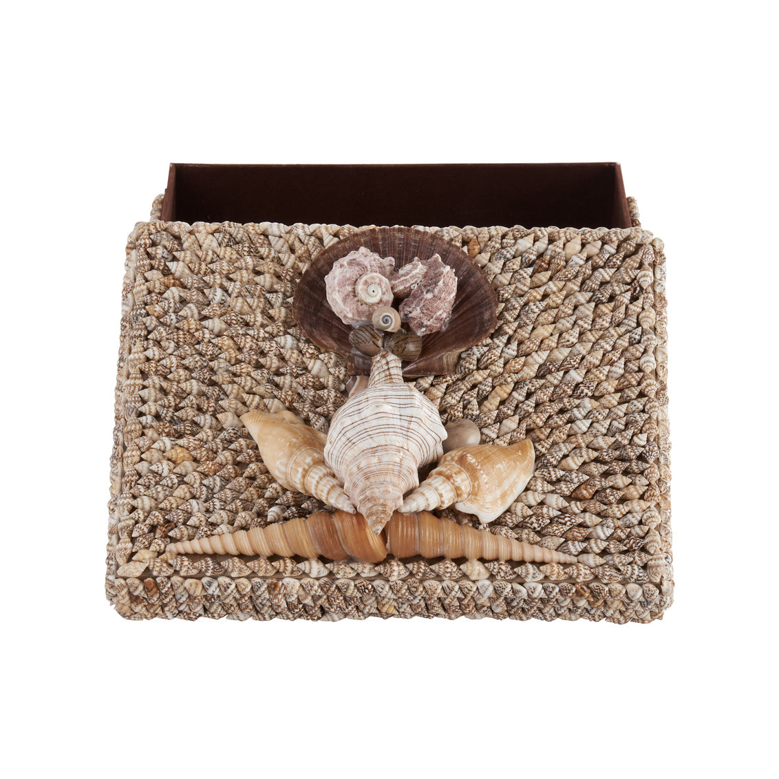 Island Shell Box