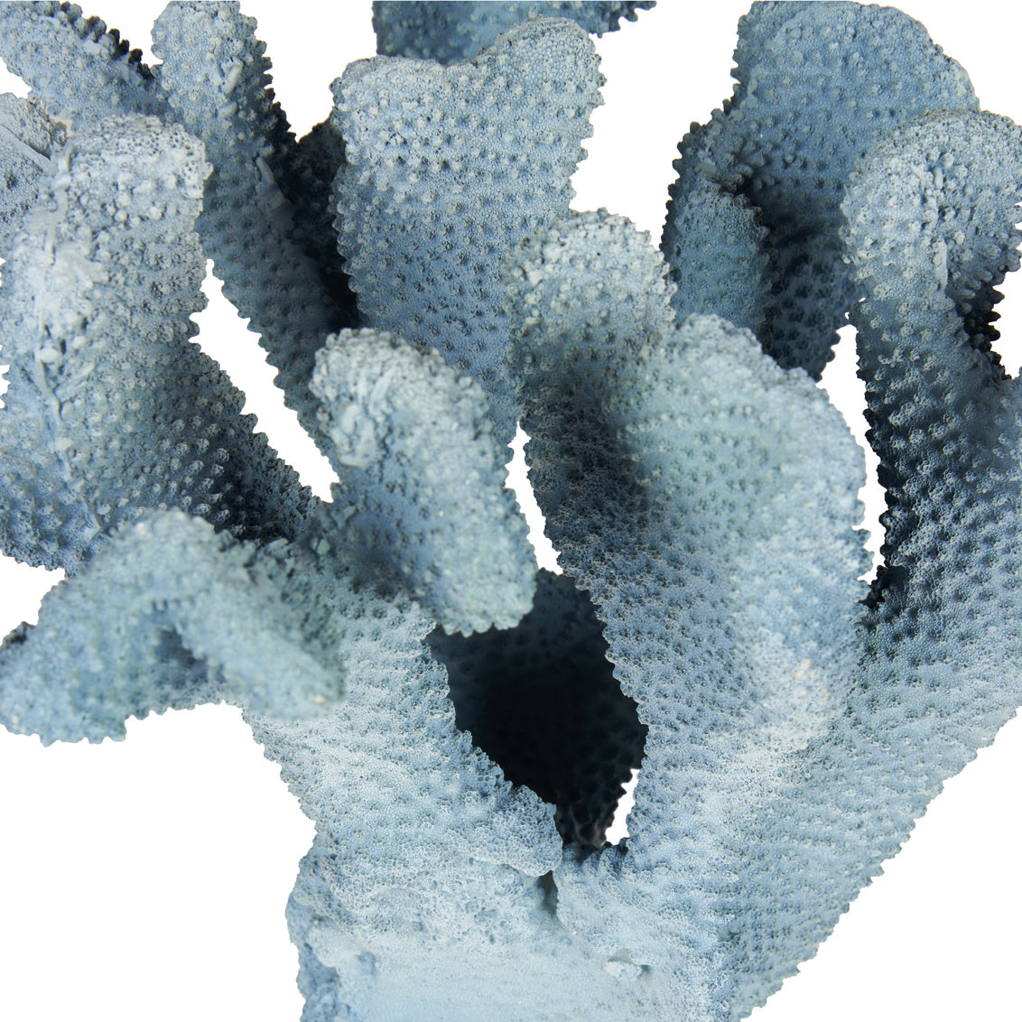 Ocean Bloom Accent