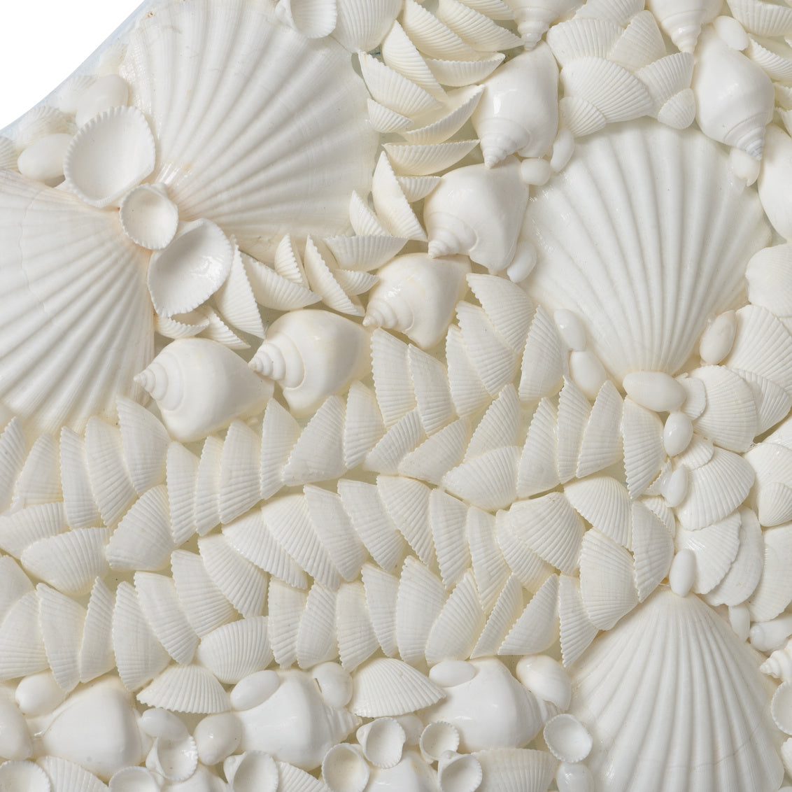 Shell Mirror