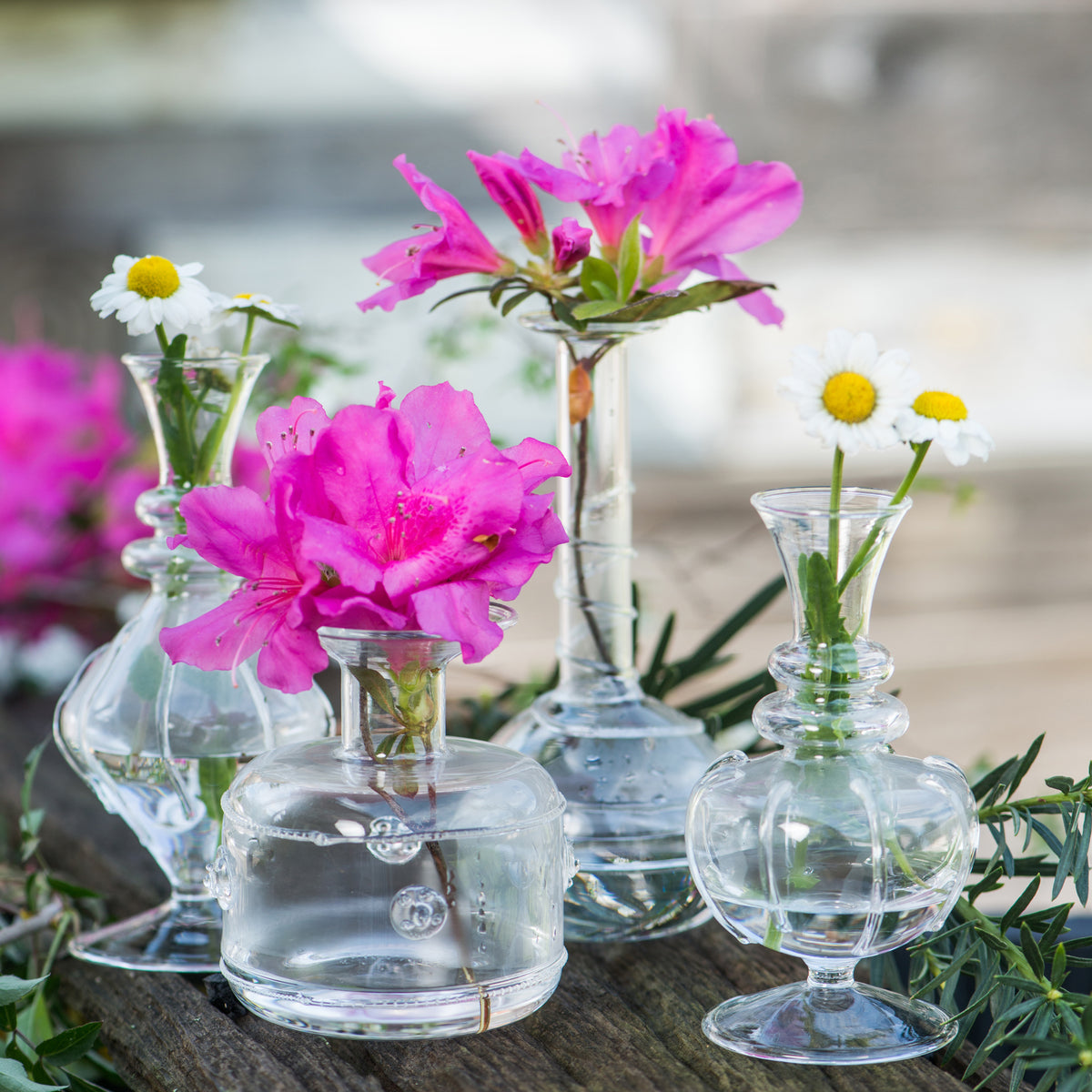 Miss Daisy, Set of 4
