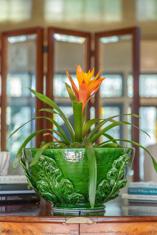 BOWL ACANTHUS LEAVES SHINY GREEN