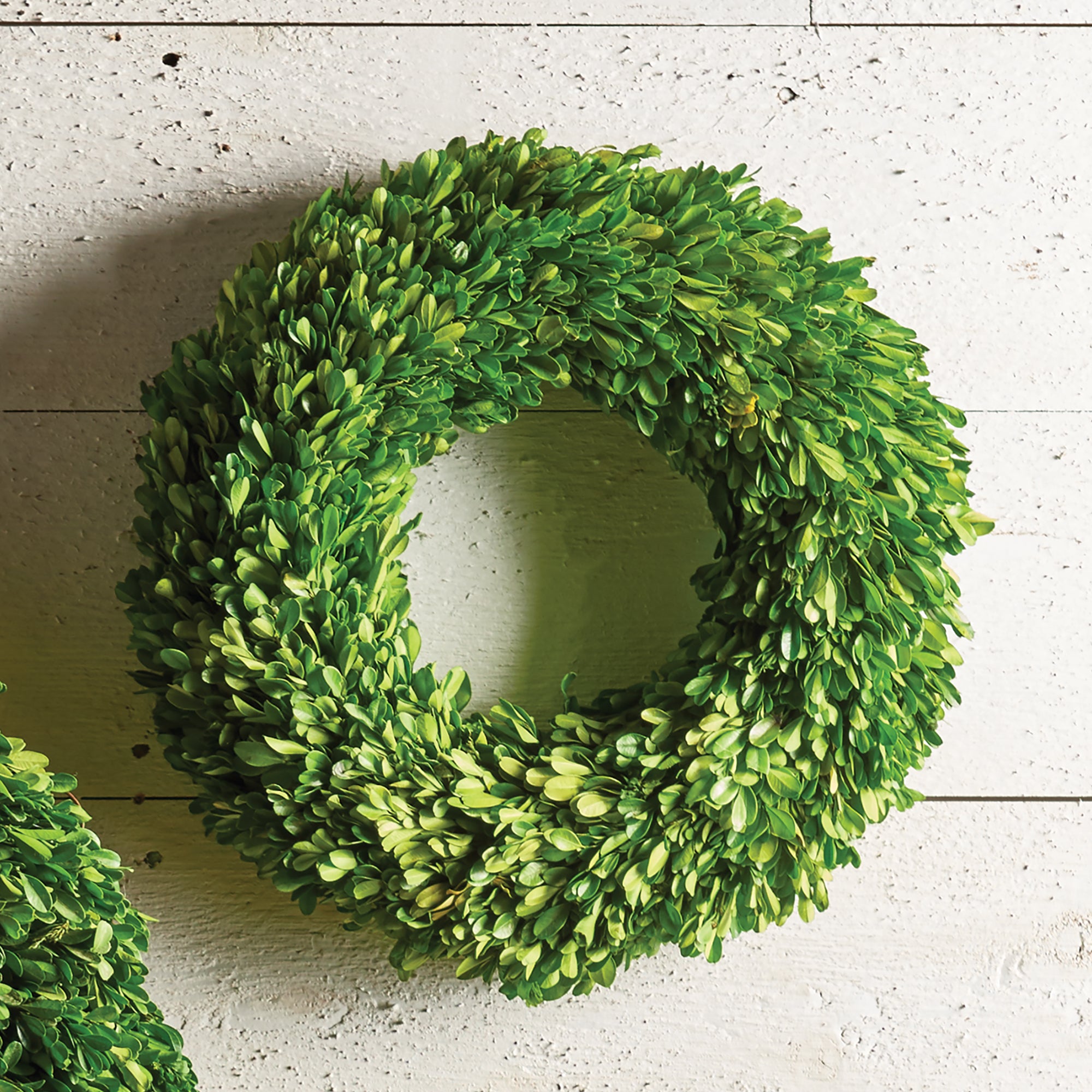 Evergreen Wreath