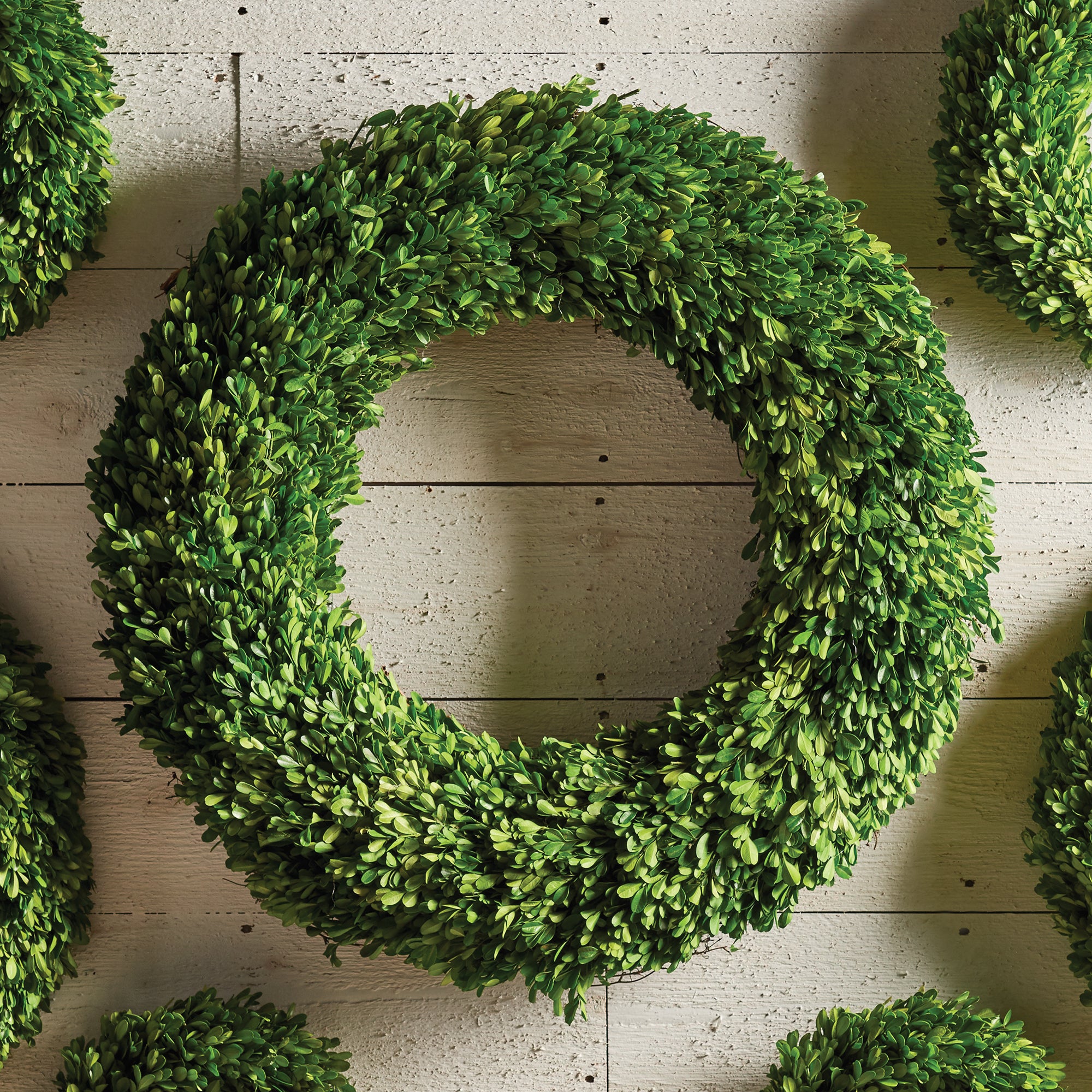 Evergreen Wreath