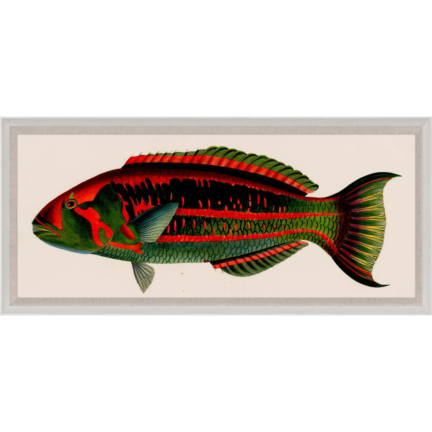 Bennet Fish 2
