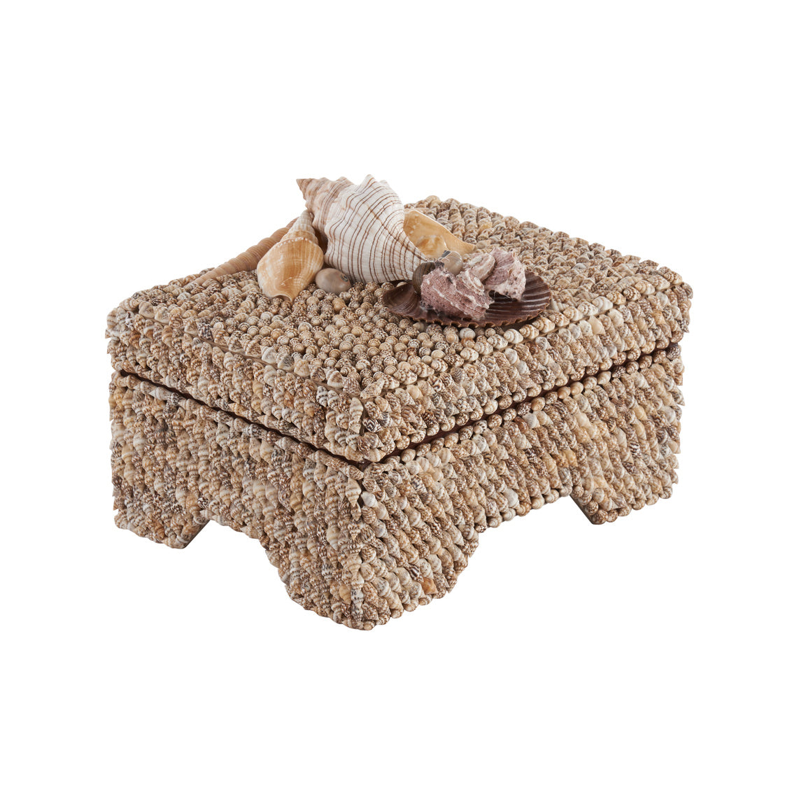 Island Shell Box