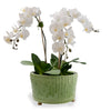 Bamboo Garden Apple Green Center Basin