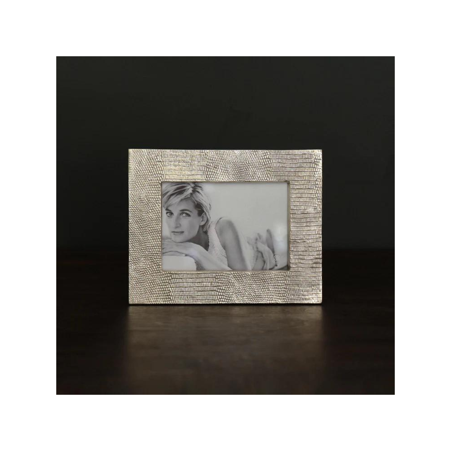FRAME
Sierra Modern Python 5 x 7 Frame (Gold)