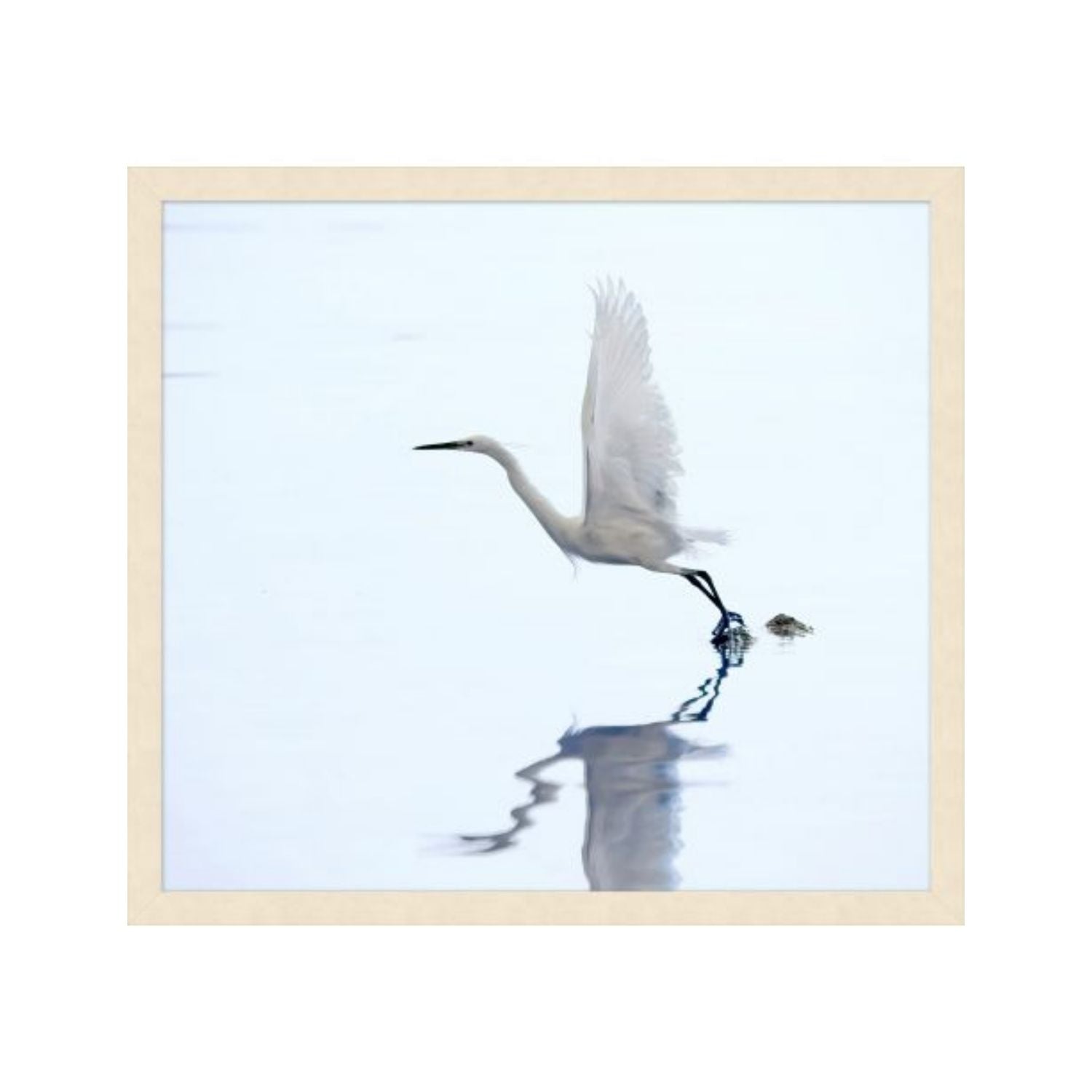 Bird Watching 1