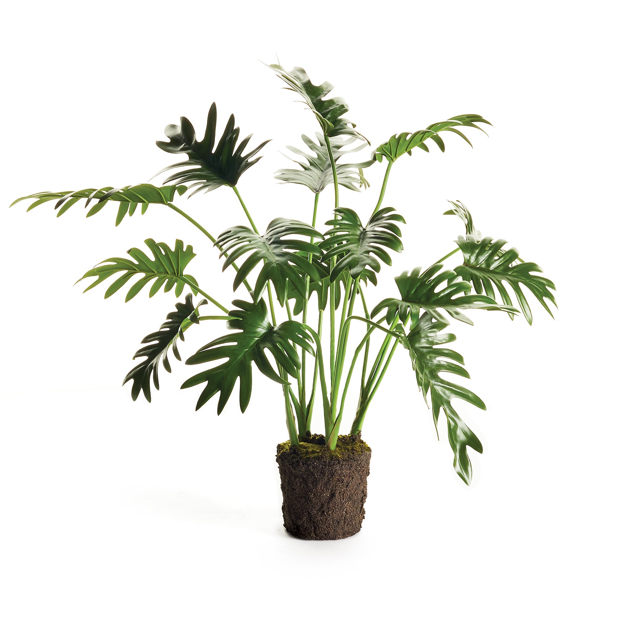 Tropical Leaf Selloum Drop-in 22.5"