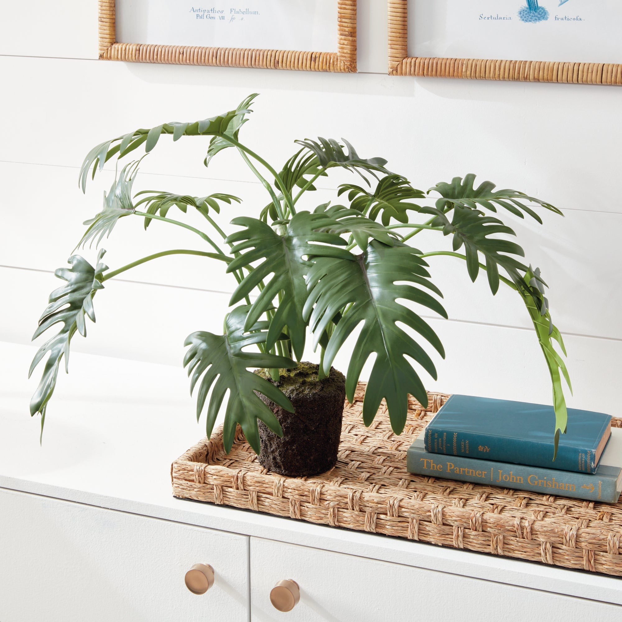 Tropical Leaf Selloum Drop-in 22.5"
