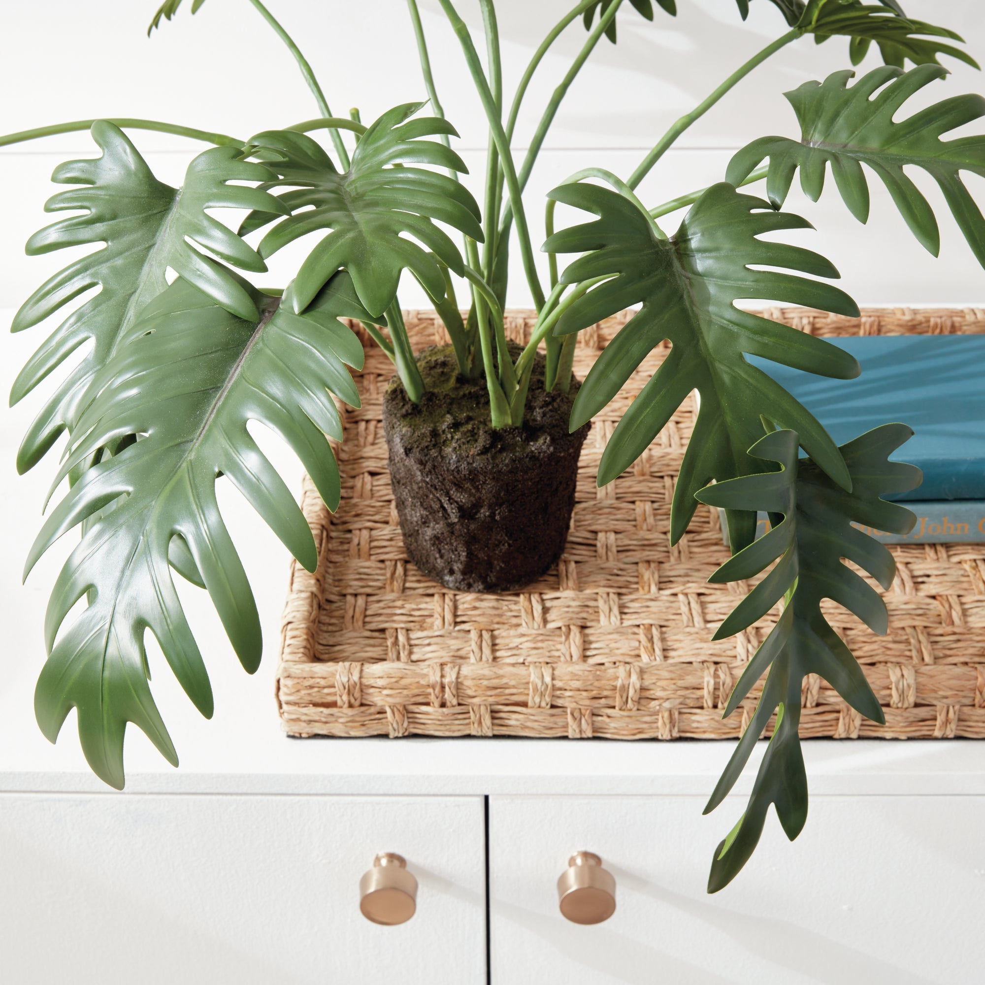 Tropical Leaf Selloum Drop-in 22.5"