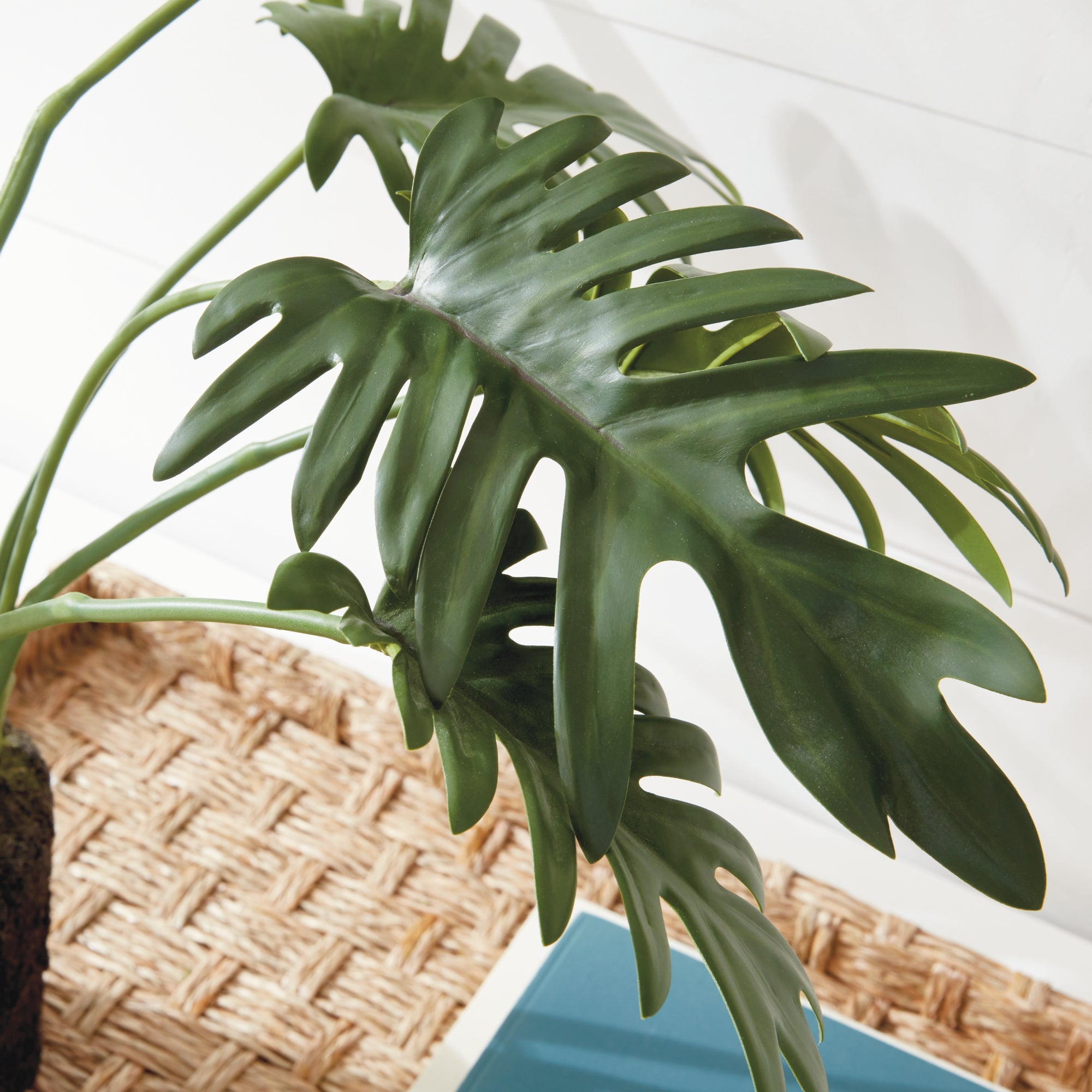 Tropical Leaf Selloum Drop-in 22.5"