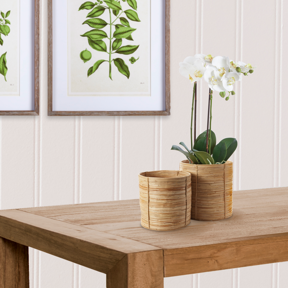 Luca Tree Baskets Set of 2