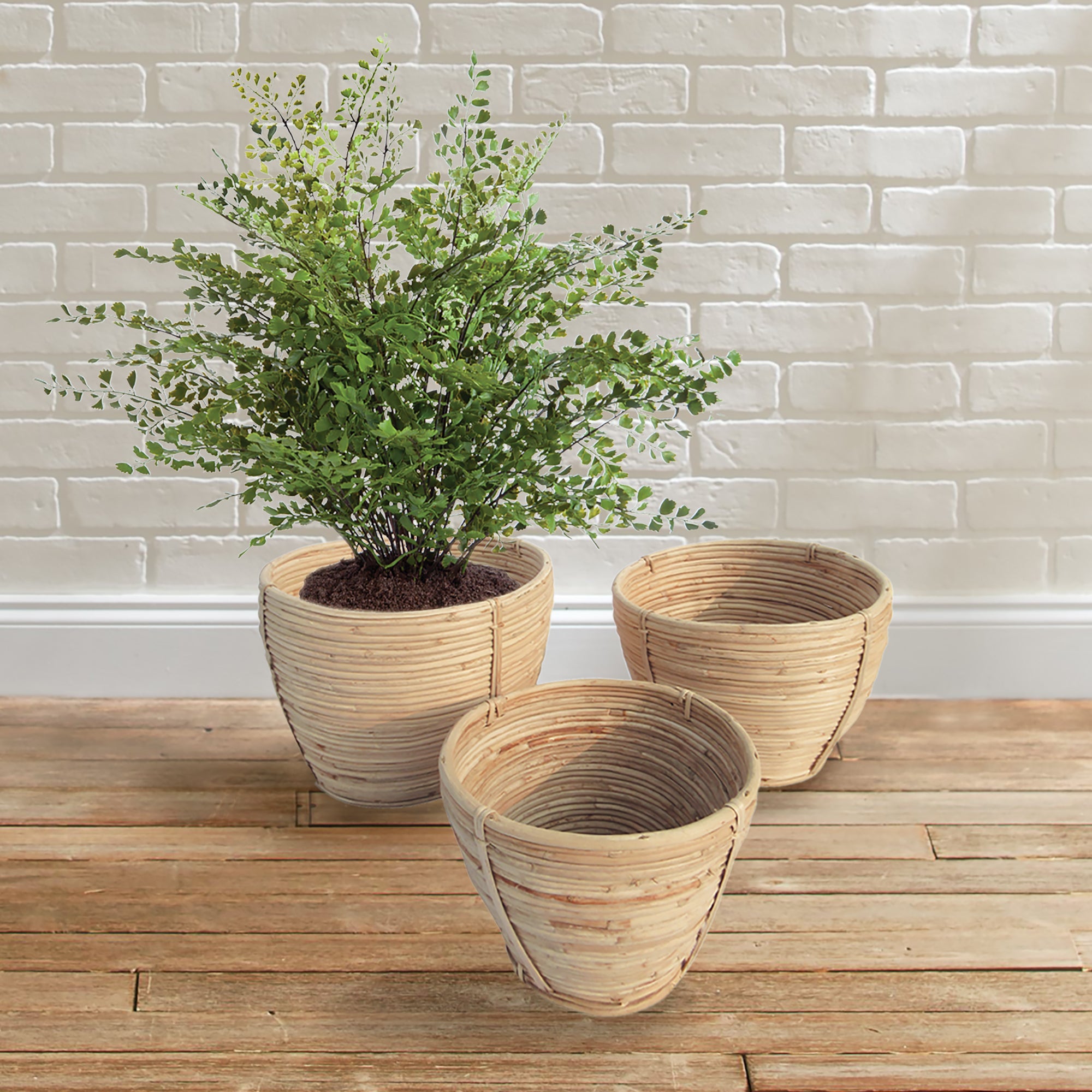 Luca Rattan Tapered Baskets Round Set of 3