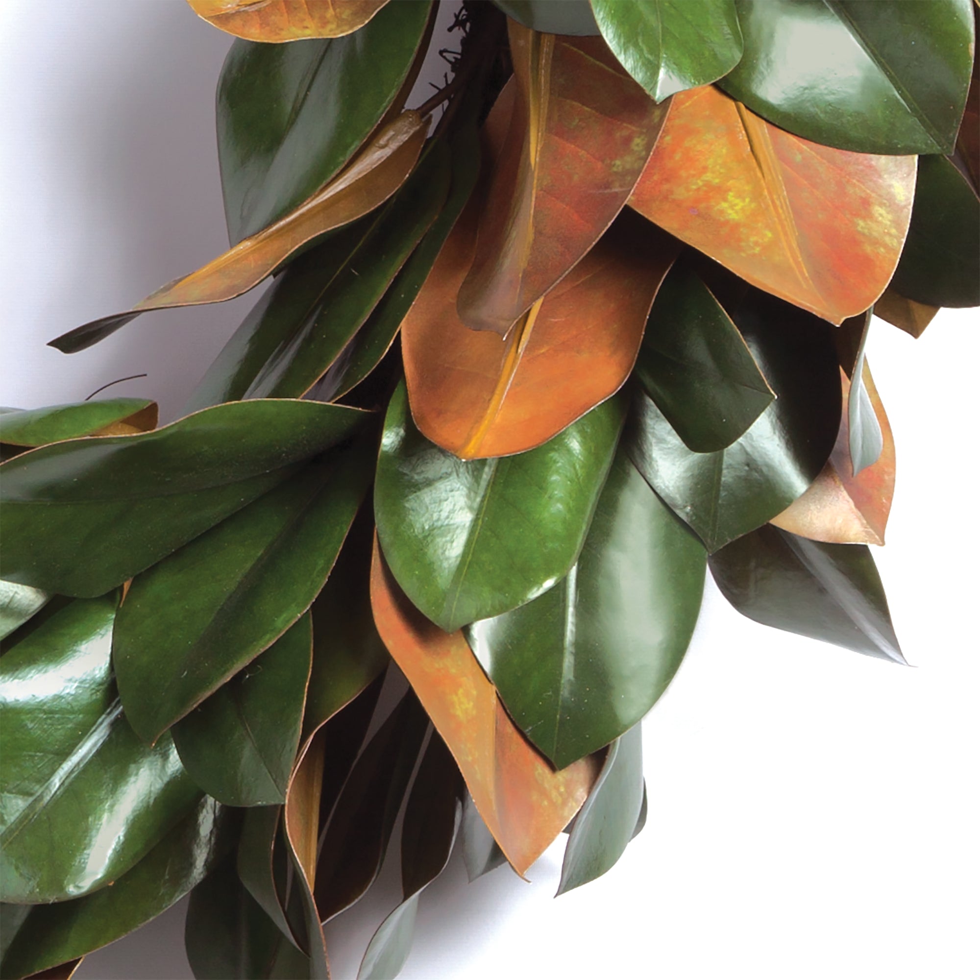 Southern Magnolia Leaves Wreath