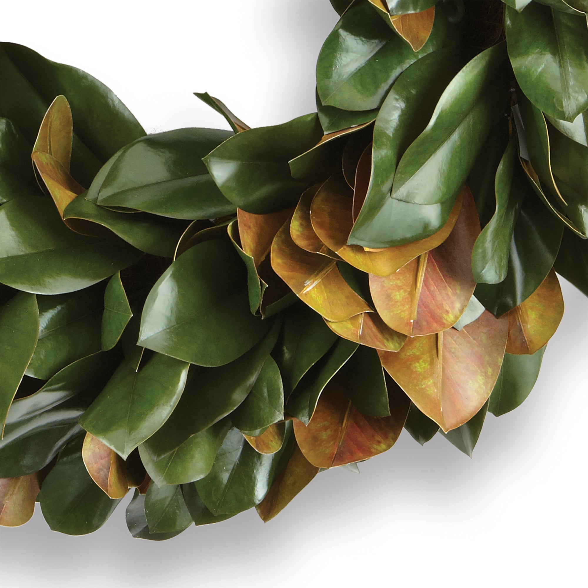 Southern Magnolia Leaves Wreath