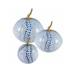 White Pumpkin with Blue Dot
