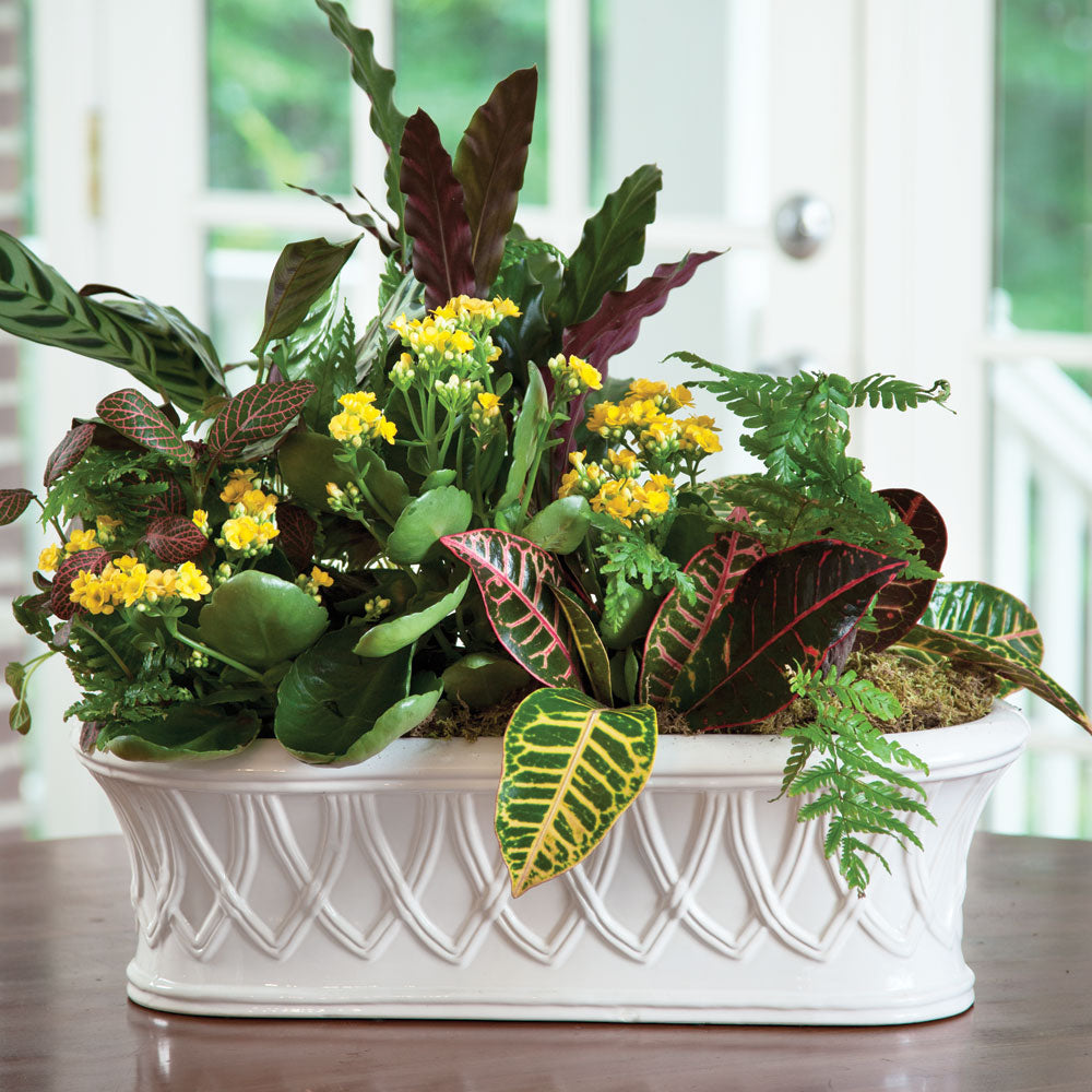 Grove Oval Planter
