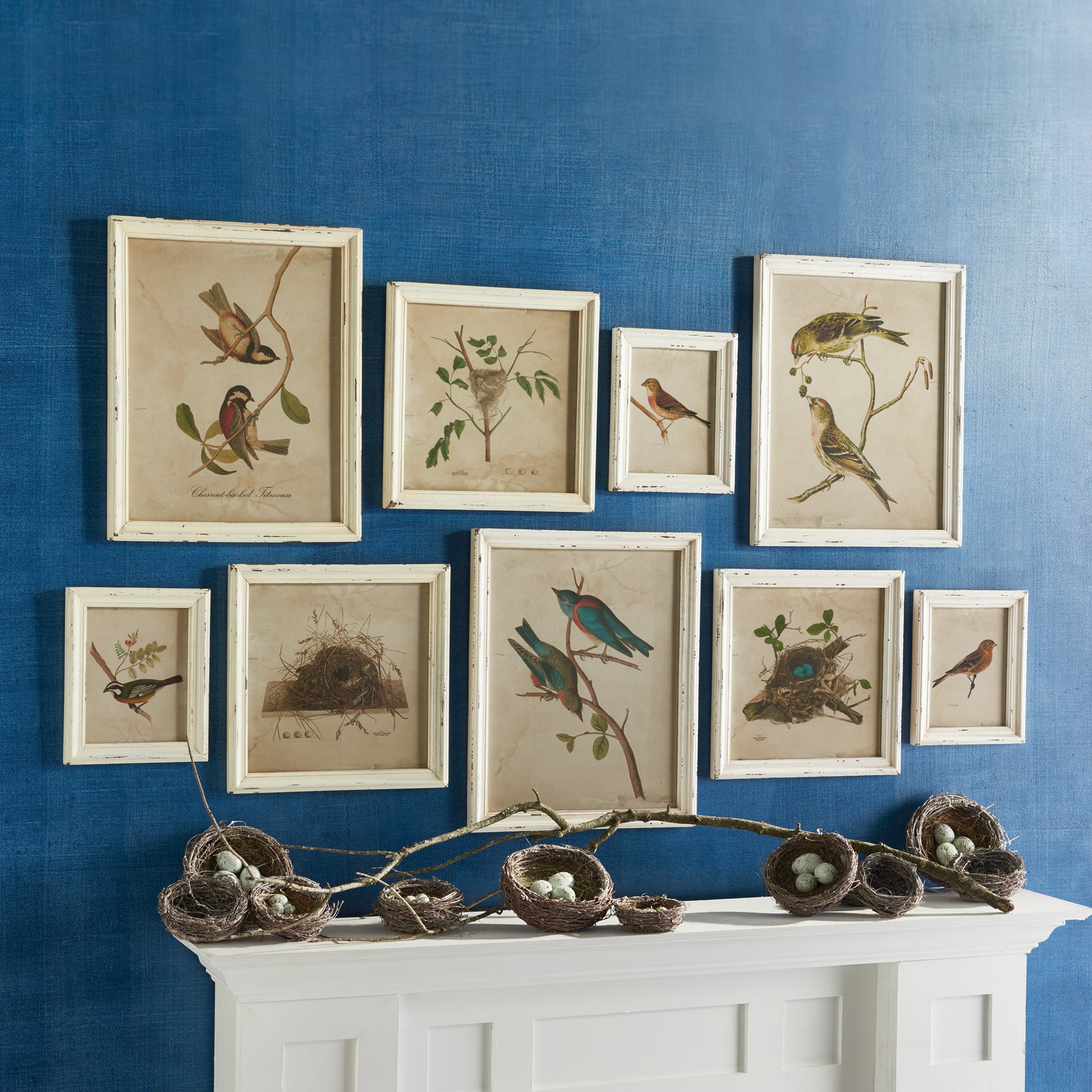 Framed Bird Sanctuary Prints, Set of 9