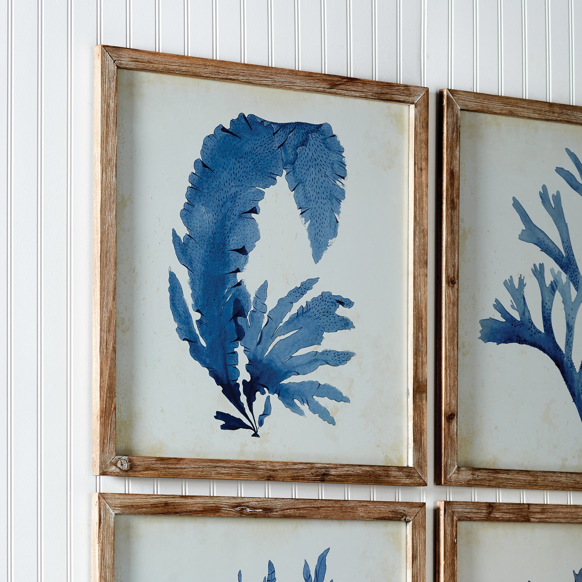 Carrie Coral Watercolor Prints Set of 4