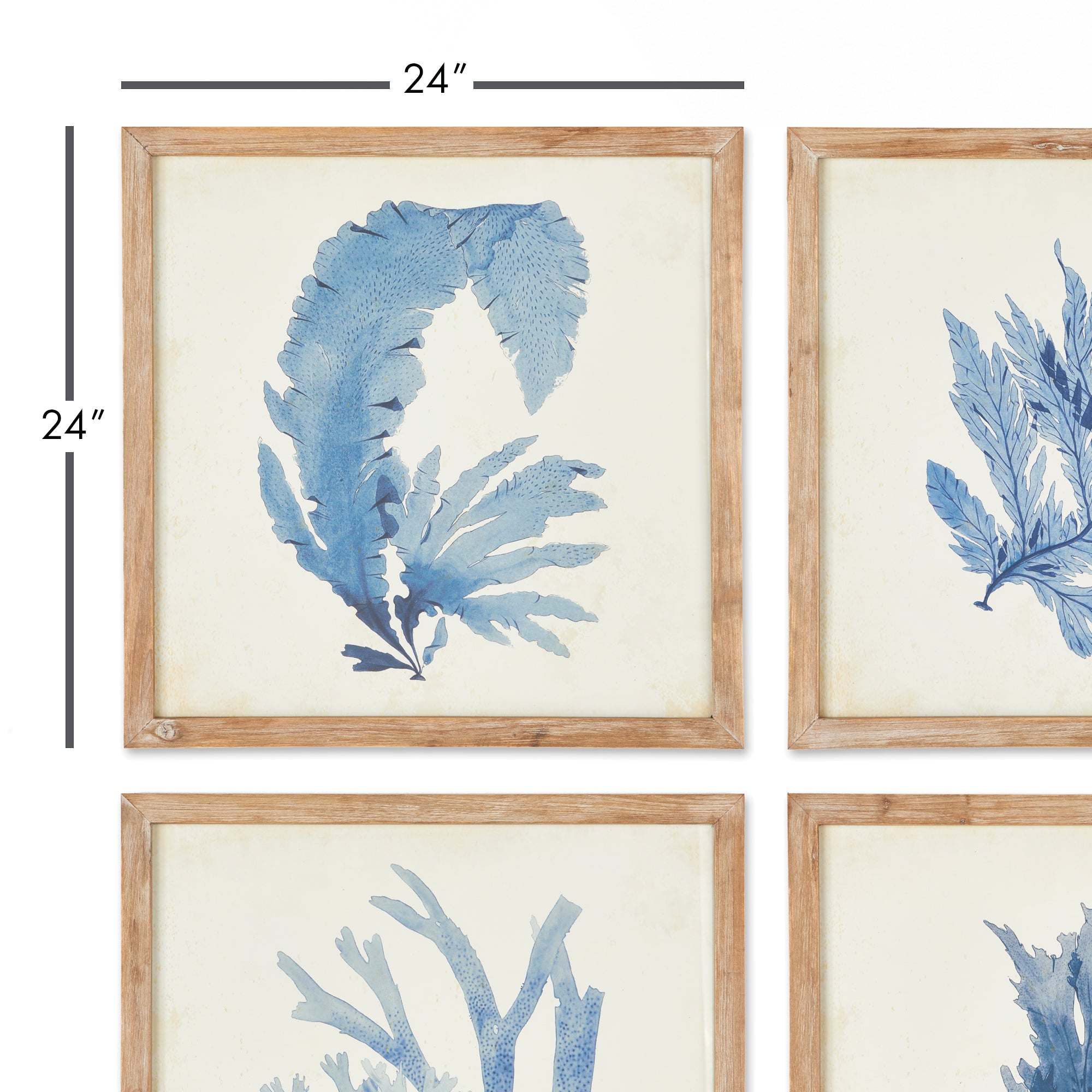 Carrie Coral Watercolor Prints Set of 4
