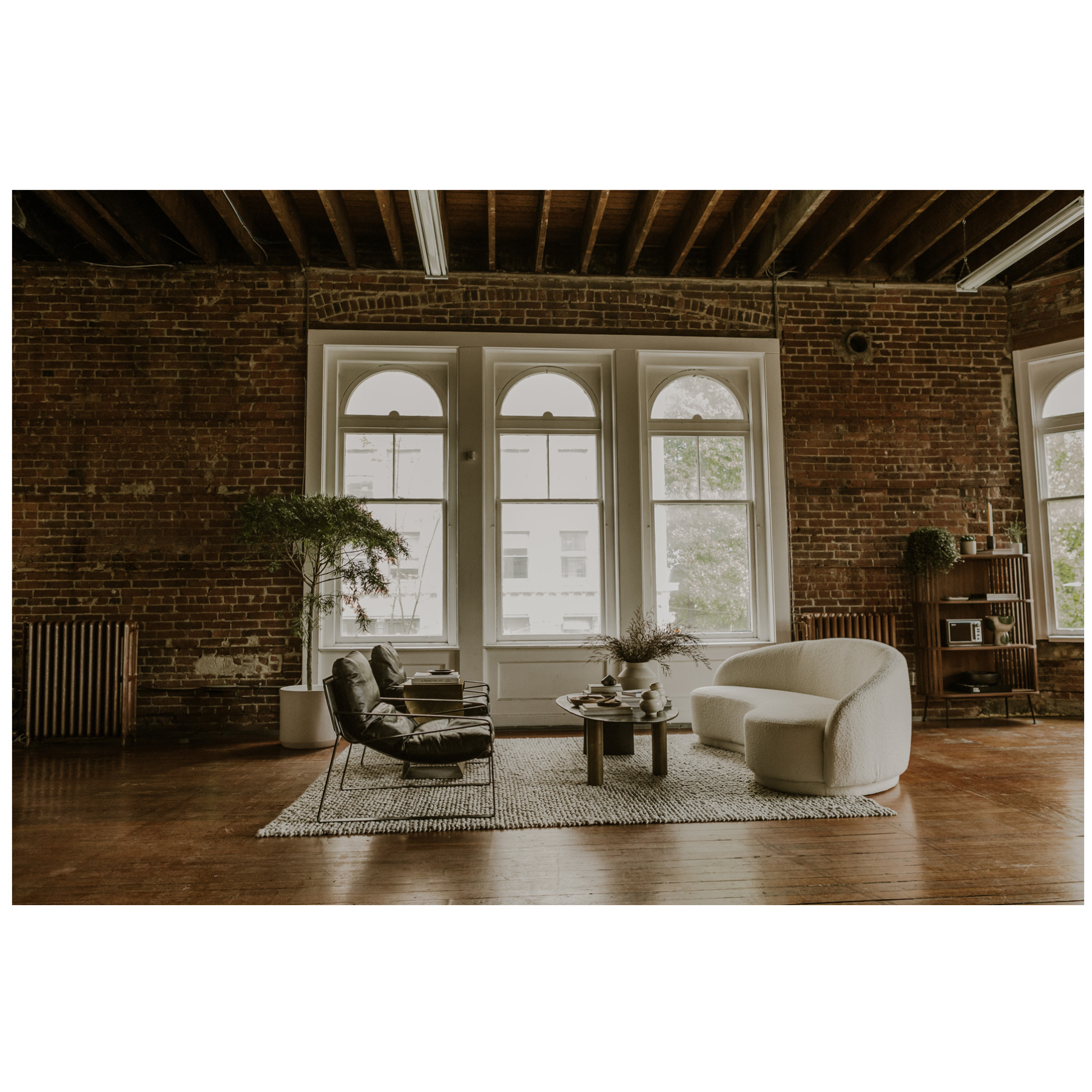 Carteus Sofa - Shitake Beige