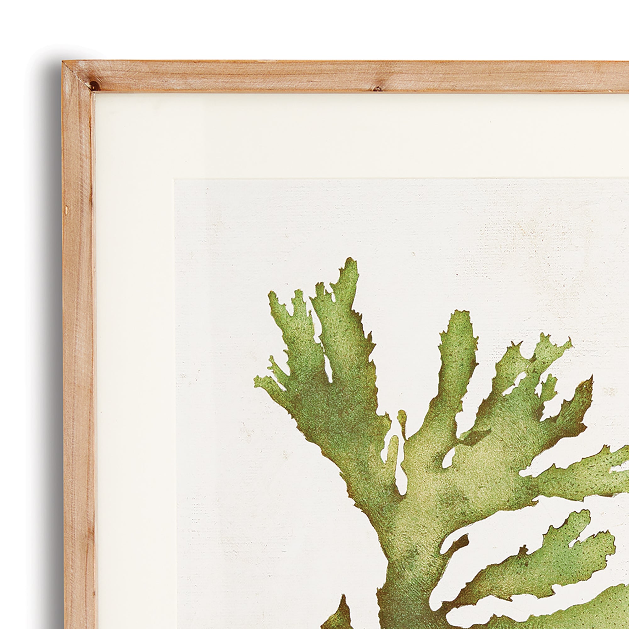 Kent Prints Set of 6