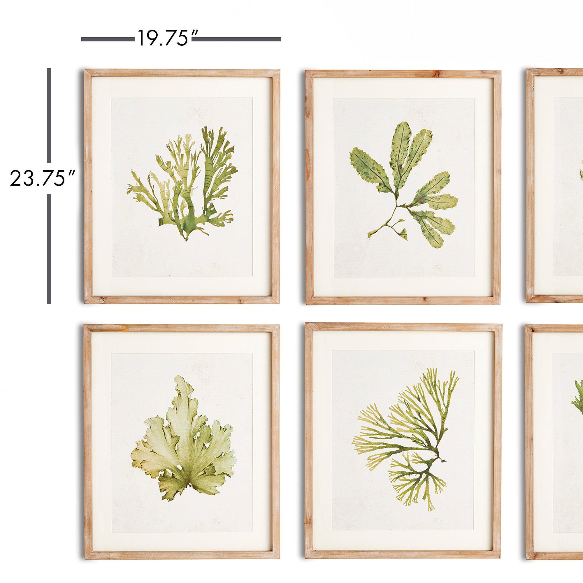 Kent Prints Set of 6