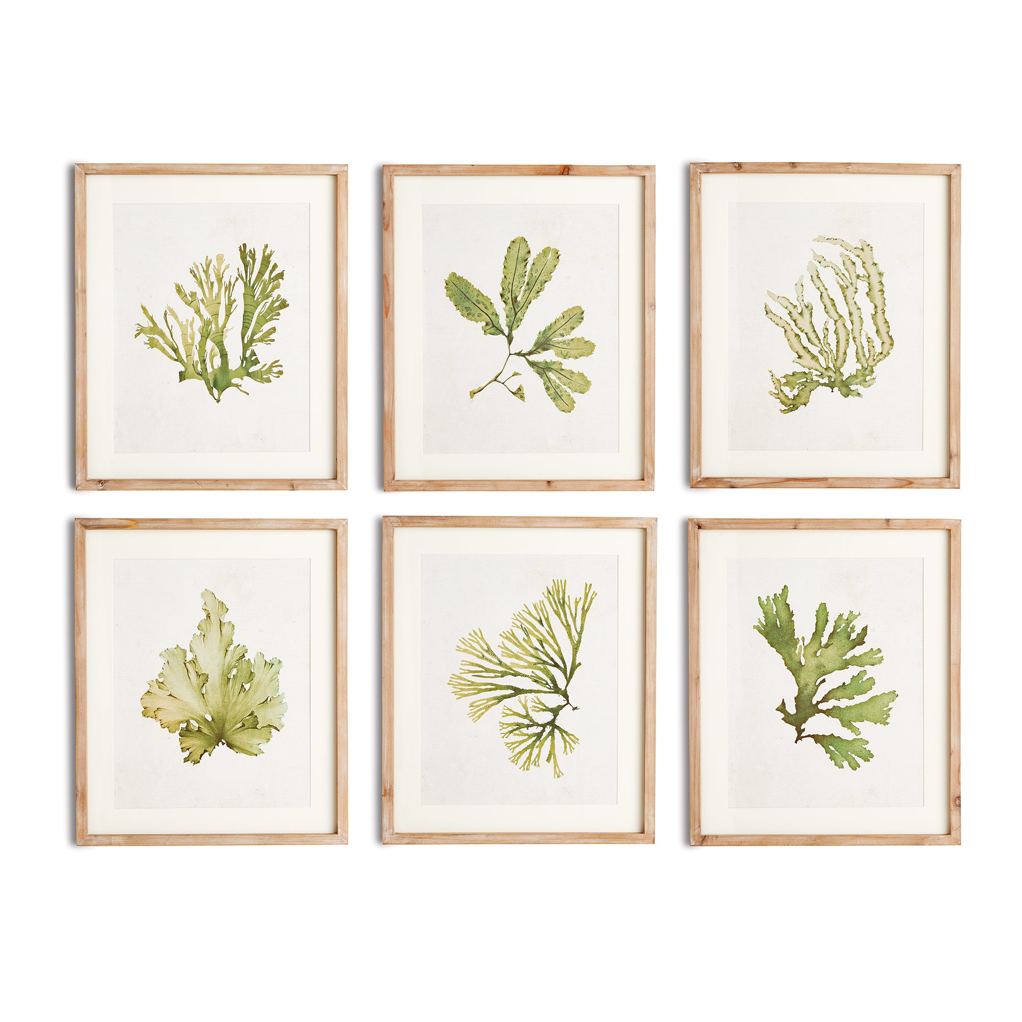Kent Prints Set of 6