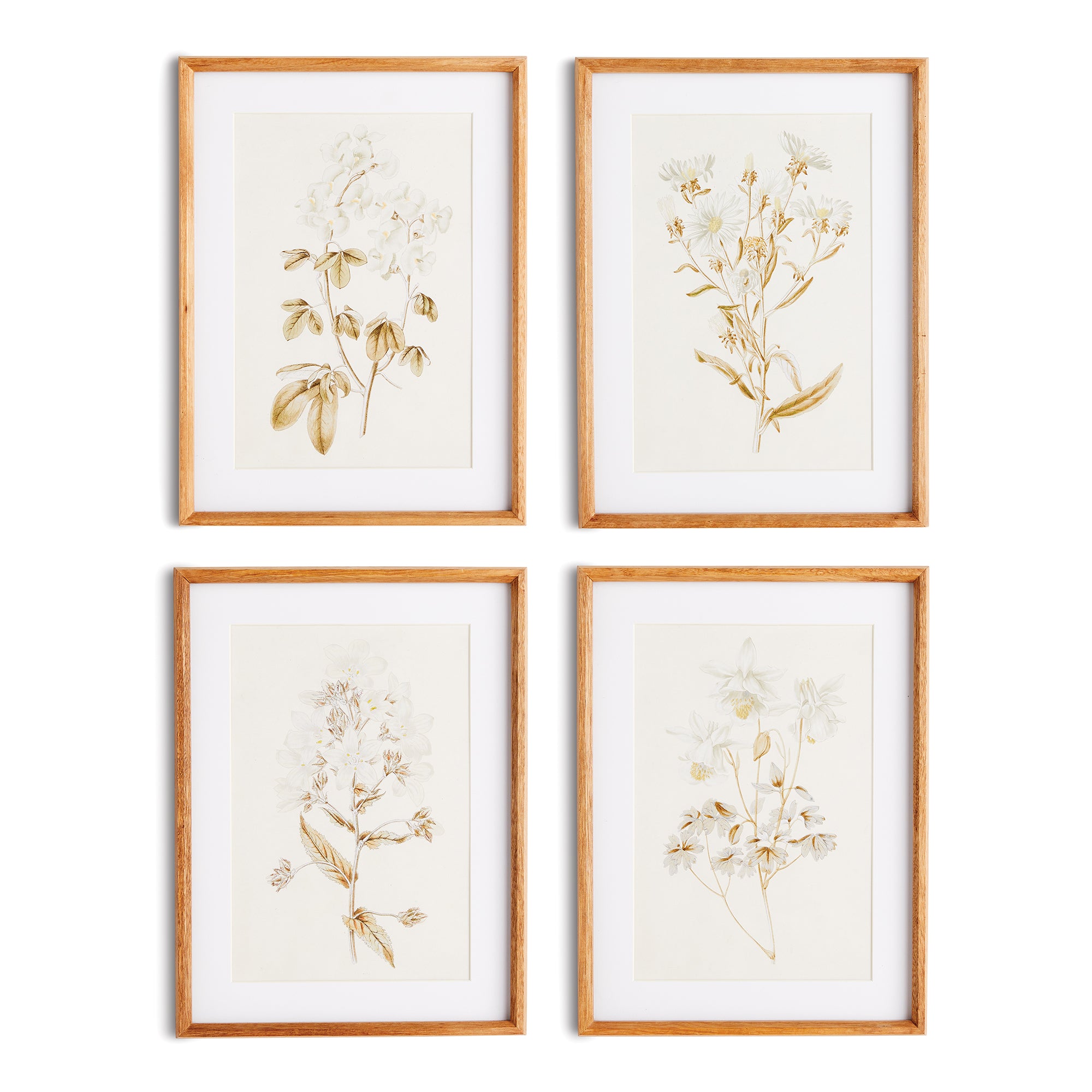 Fleura Prints, Set of 4