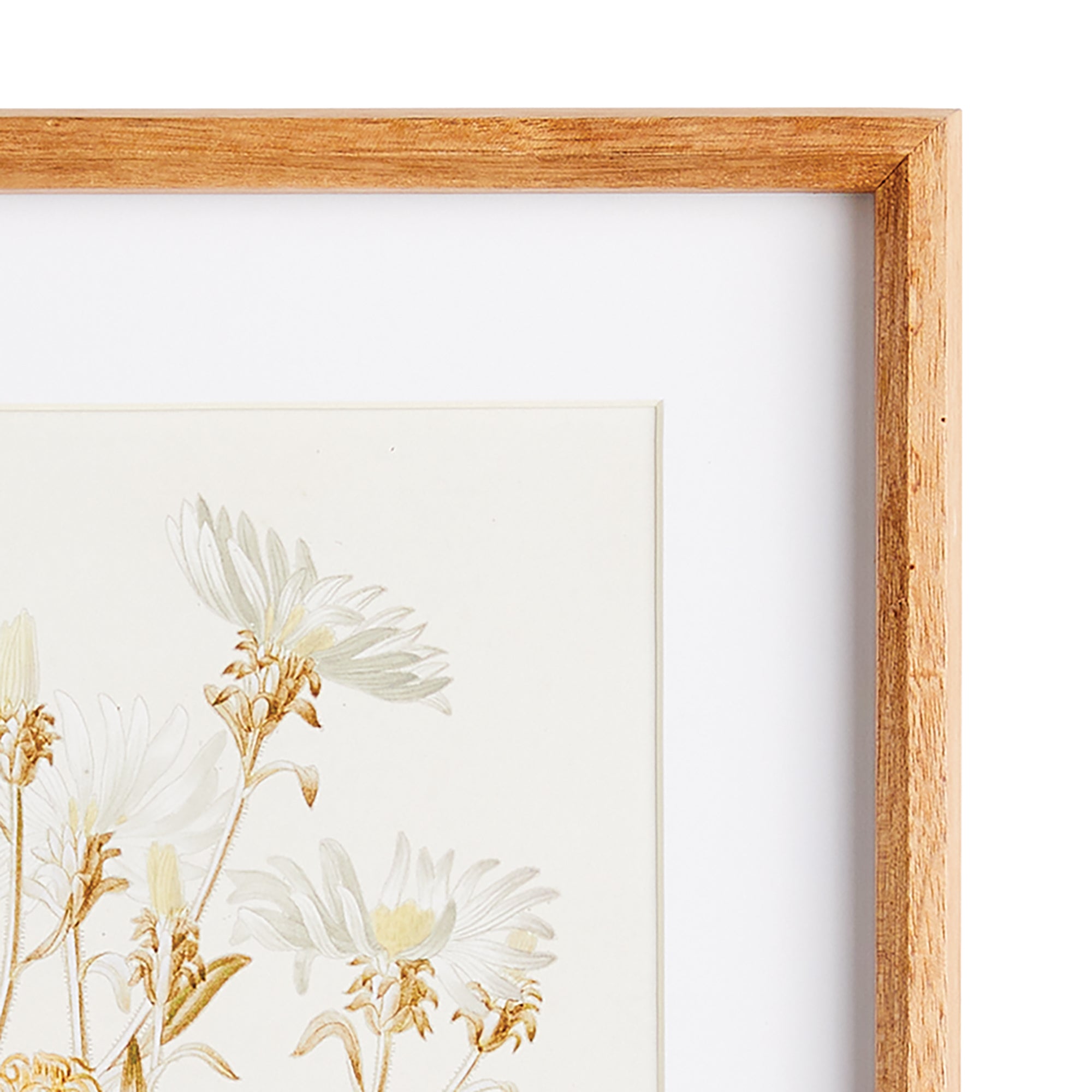 Fleura Prints, Set of 4