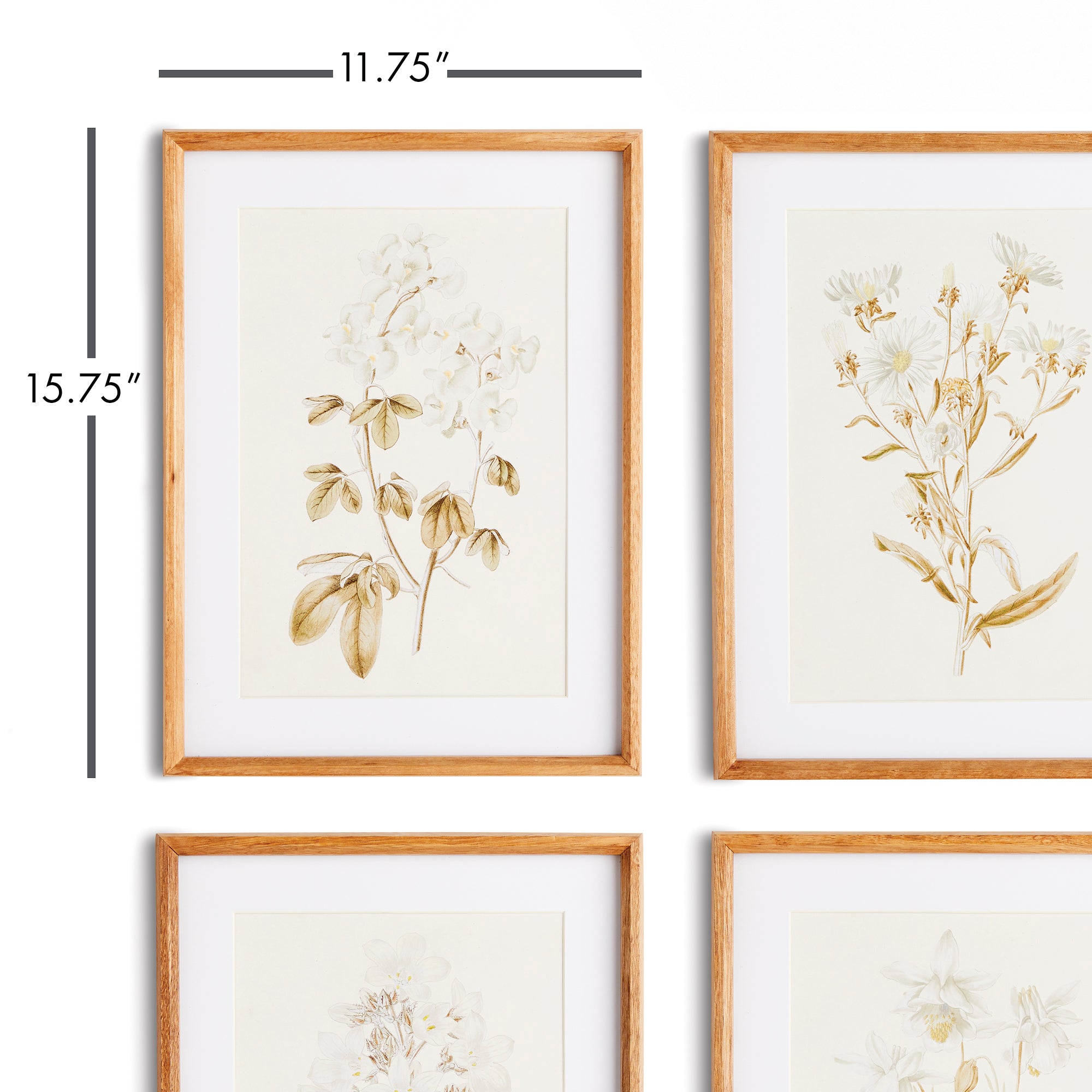 Fleura Prints, Set of 4
