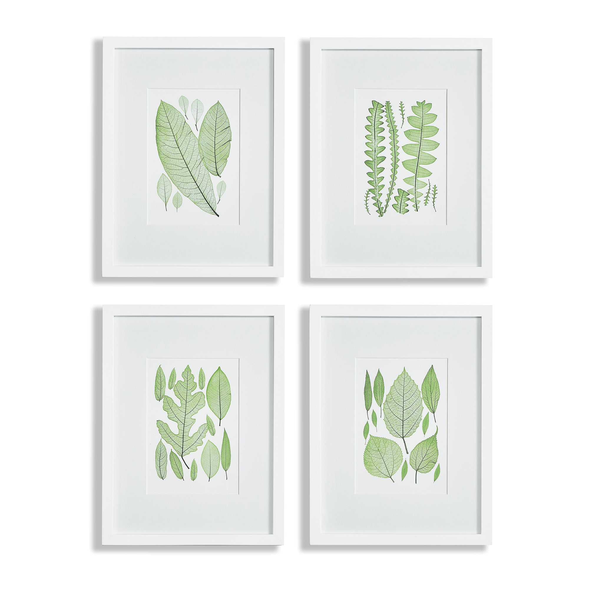 Leafy Prints, Set of 4
