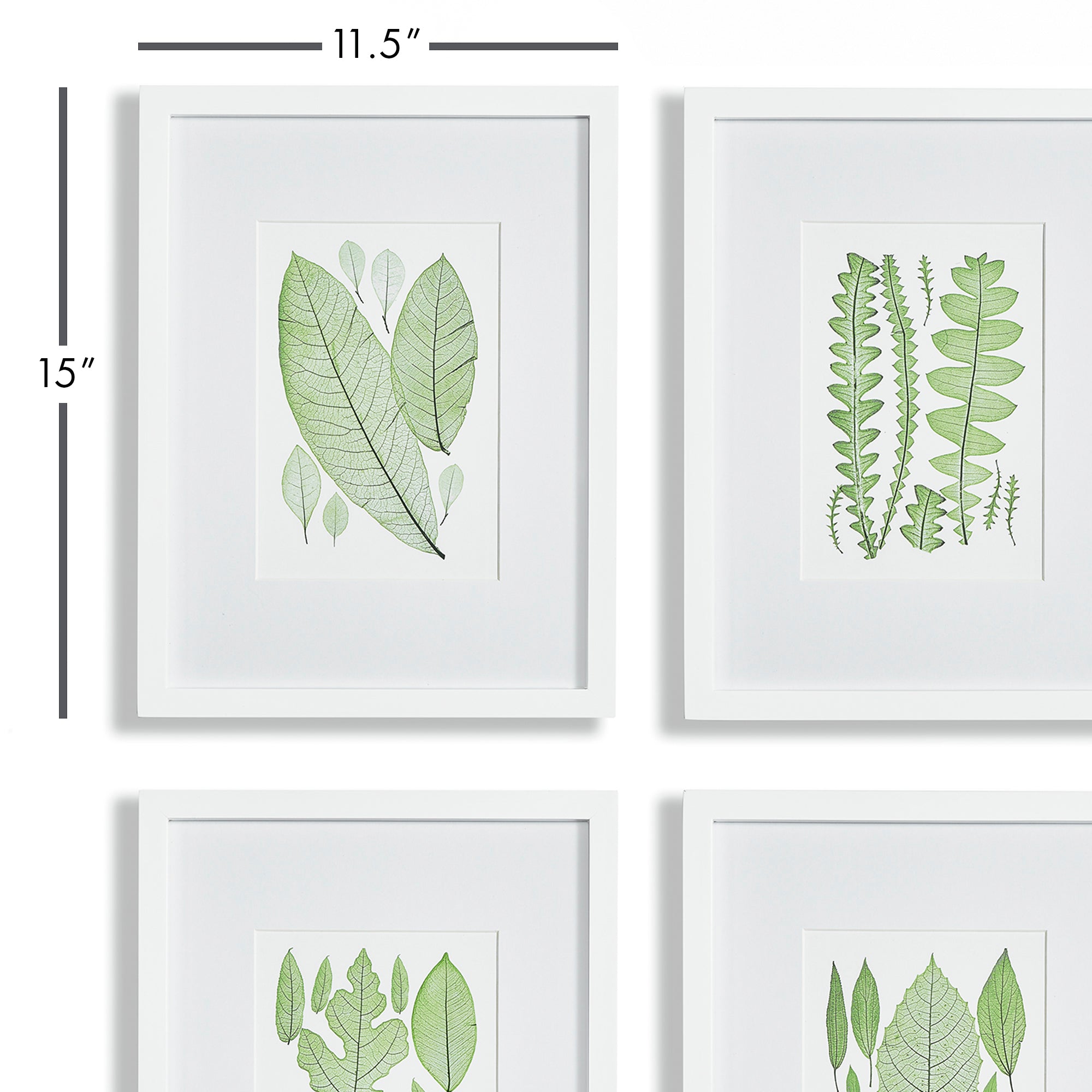 Leafy Prints, Set of 4