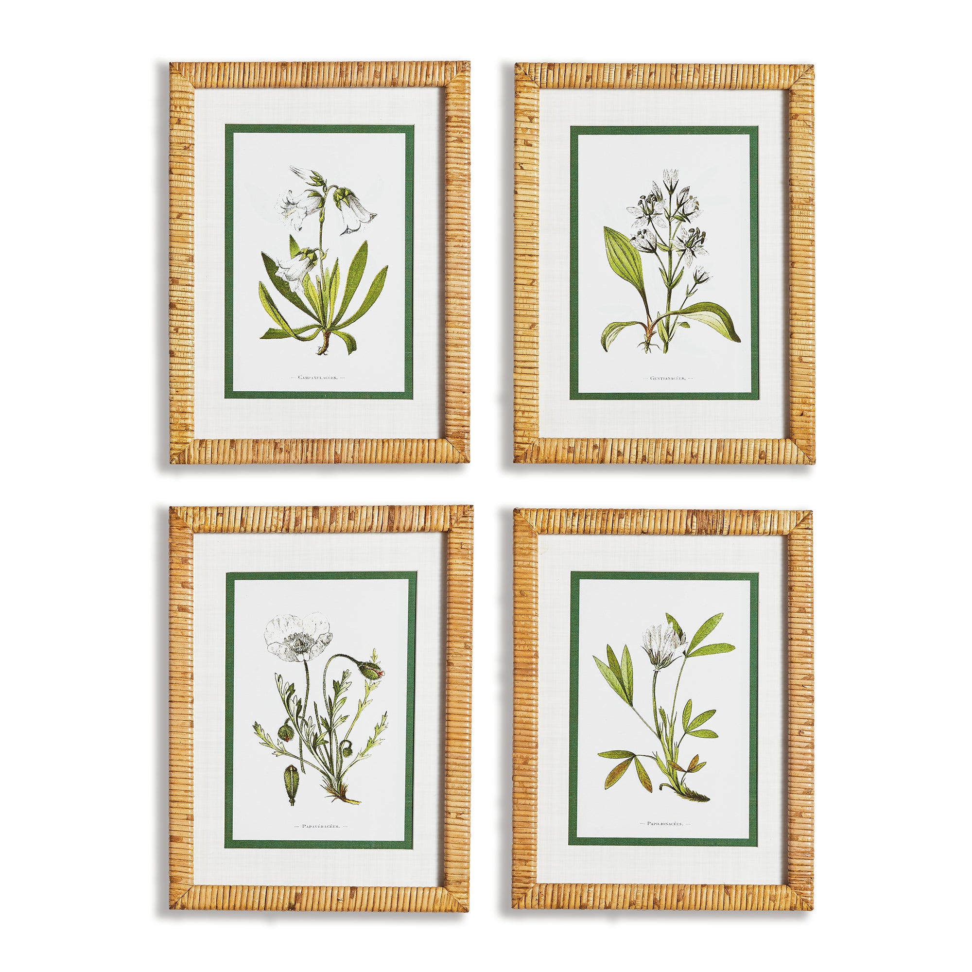 Ivory Floral Study Set of 4