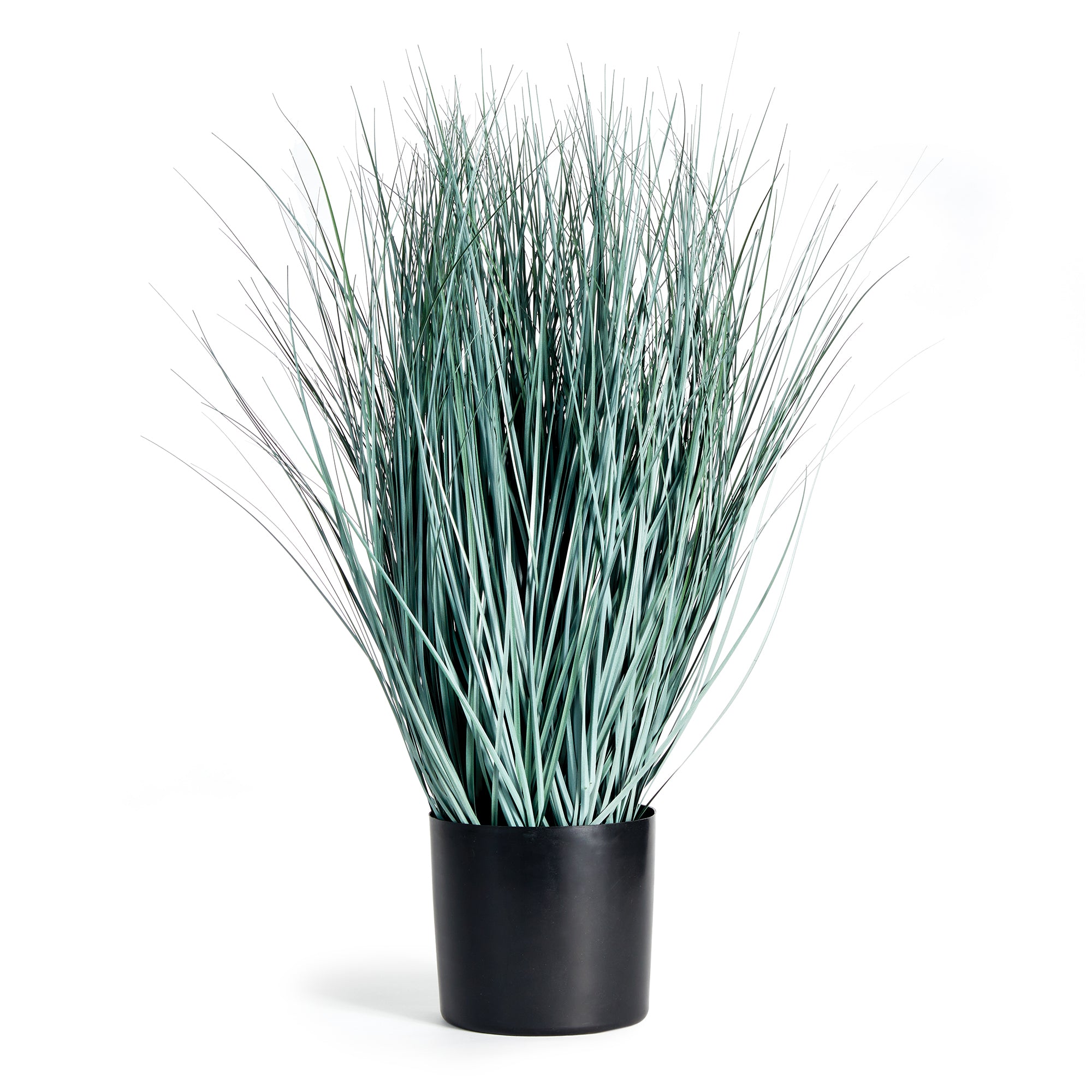 BLUE OAT GRASS DROP-IN 32""