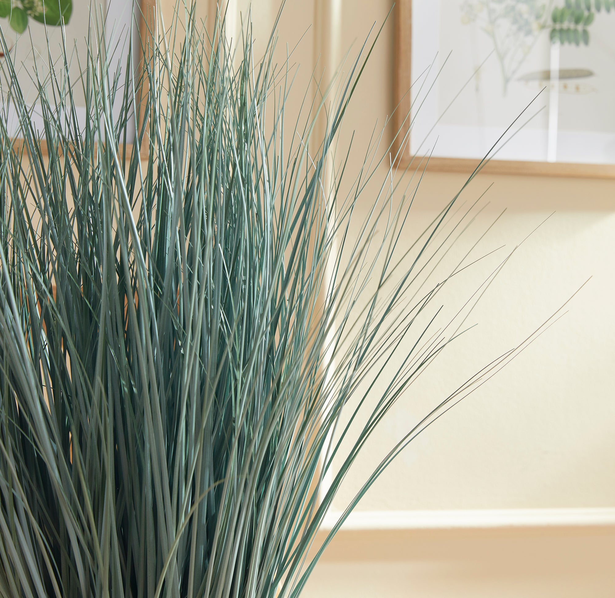 BLUE OAT GRASS DROP-IN 32""