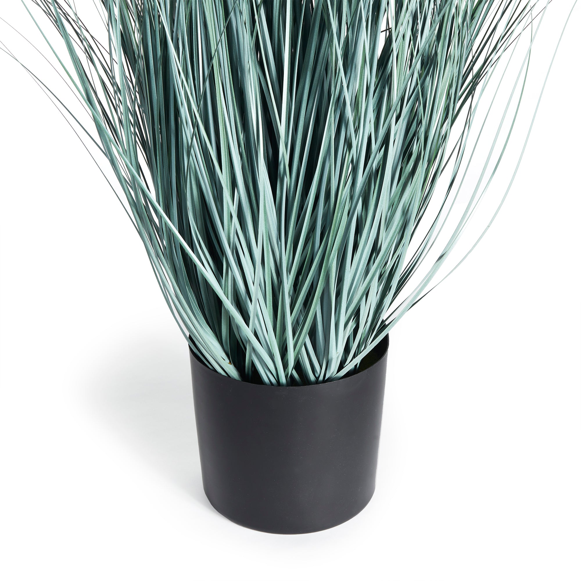BLUE OAT GRASS DROP-IN 32""