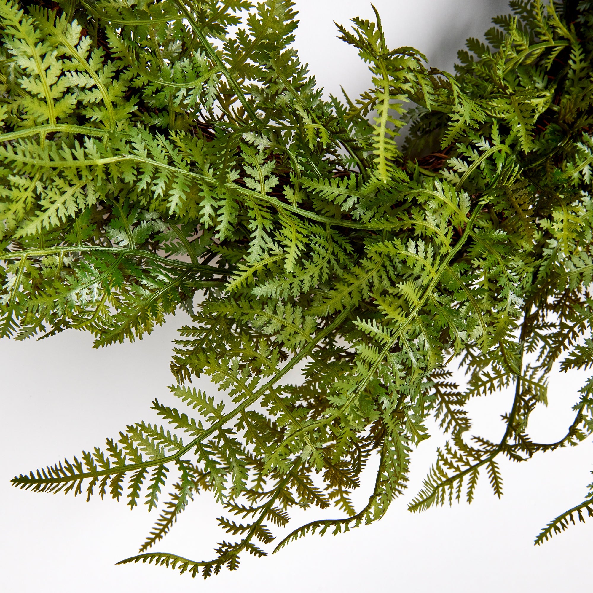 Frond Wreath 18"