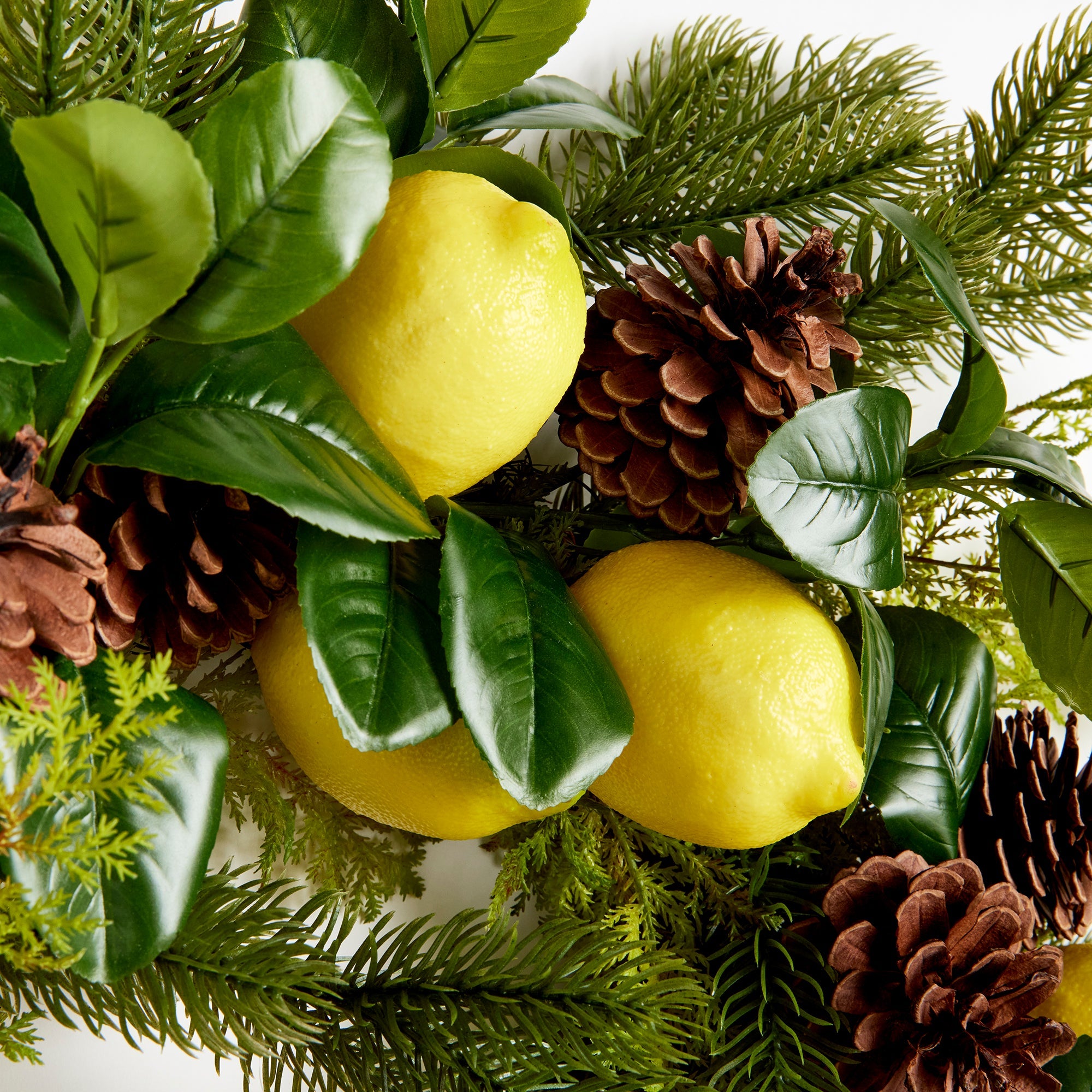 Botanical Blends and Lemon Wreath 26"