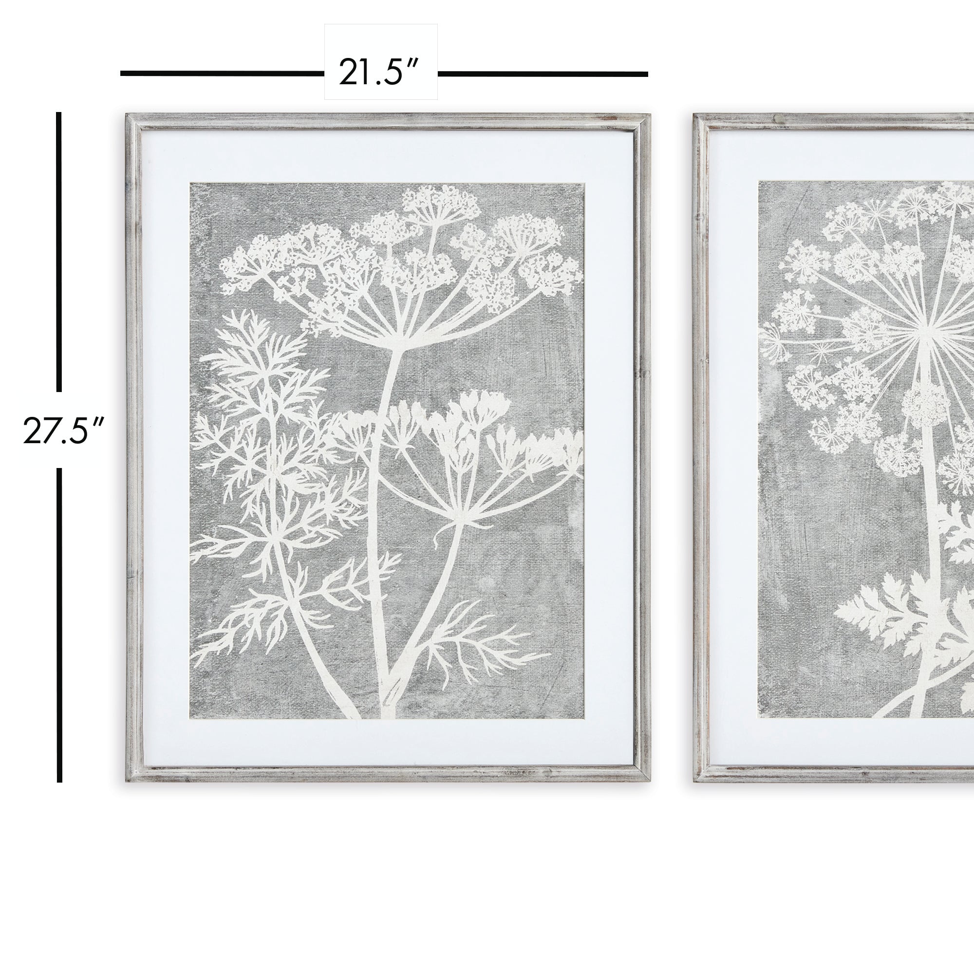 Blushing Queen Anne's Lace Prints, Set of 2