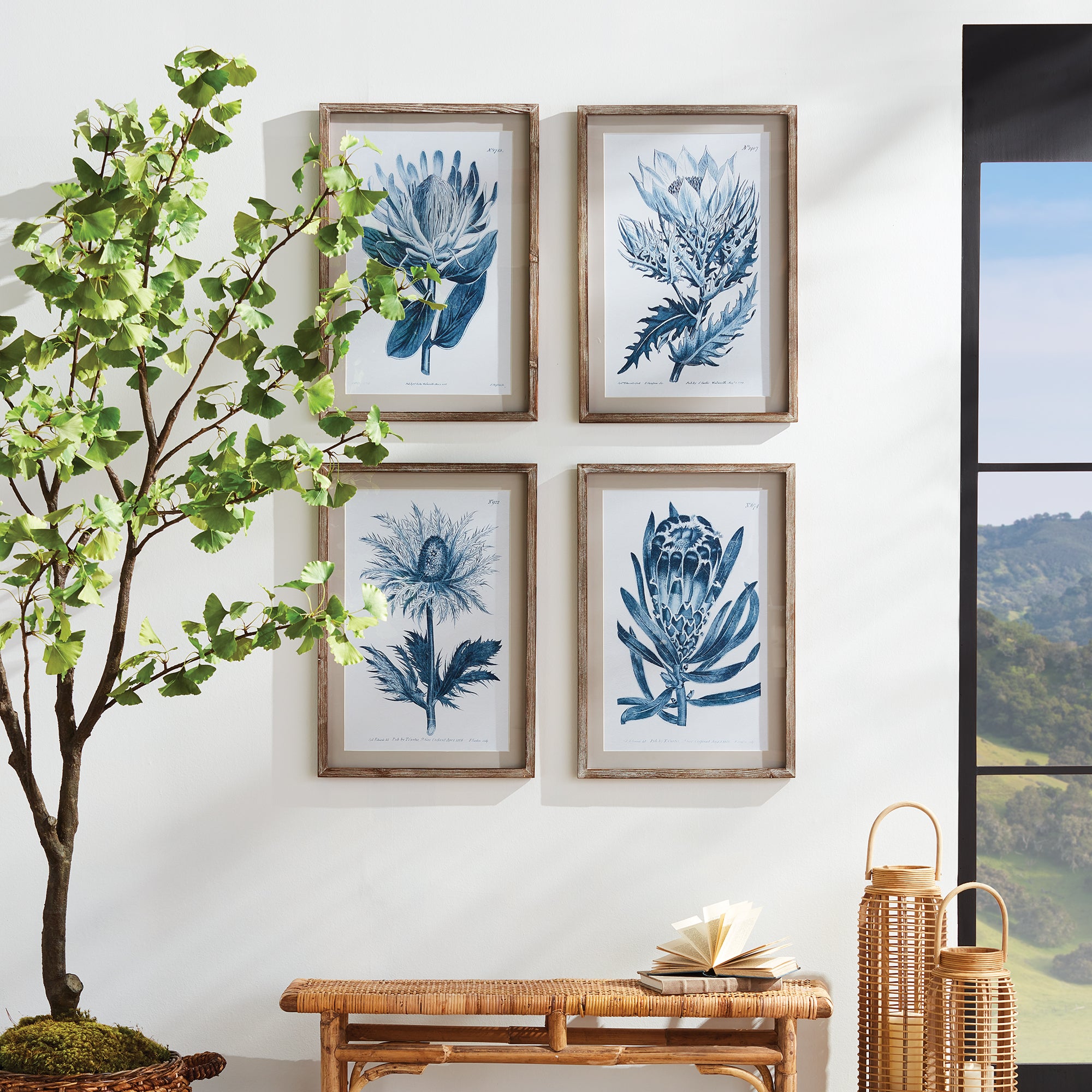 Mariella Protea Prints Set of 4