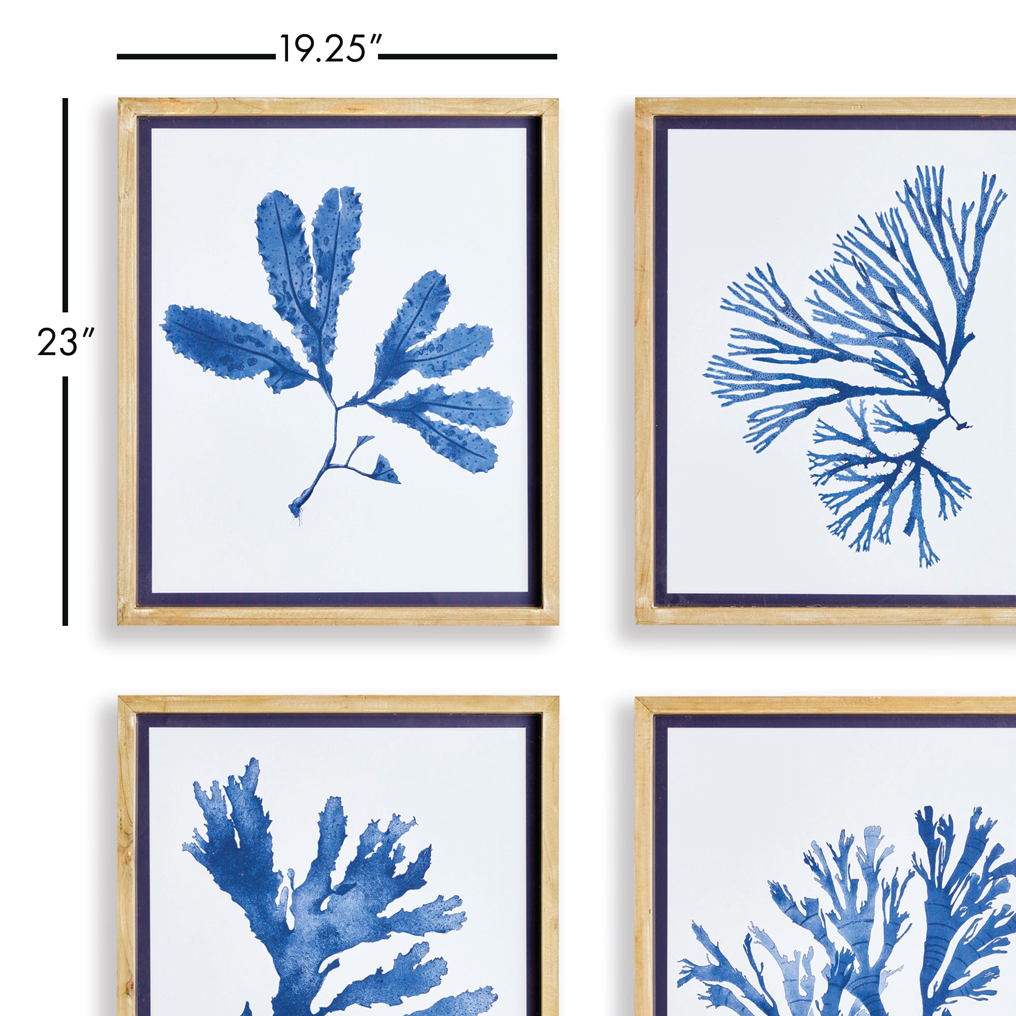 Mariella Seaweed Prints Set of 4
