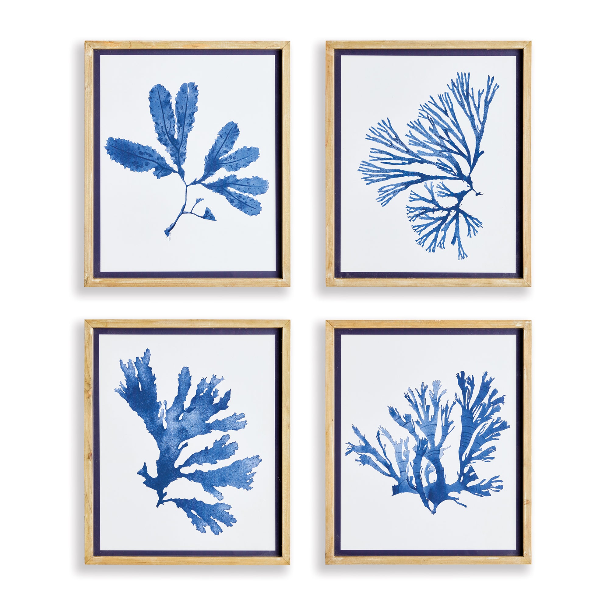Mariella Seaweed Prints Set of 4