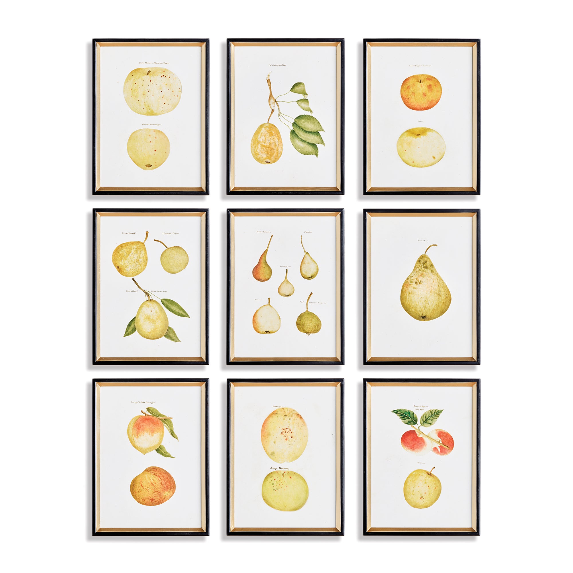 Mixed Fruits, Set of 9