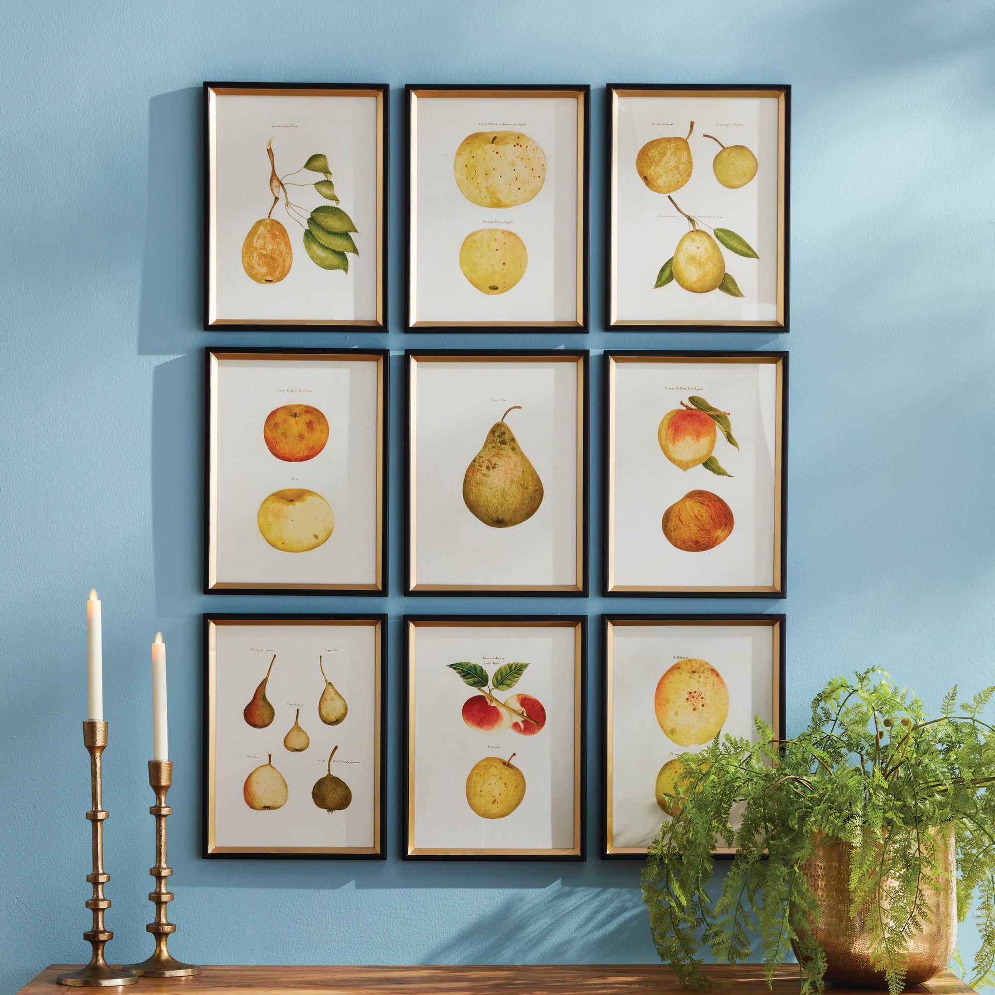 Mixed Fruits, Set of 9